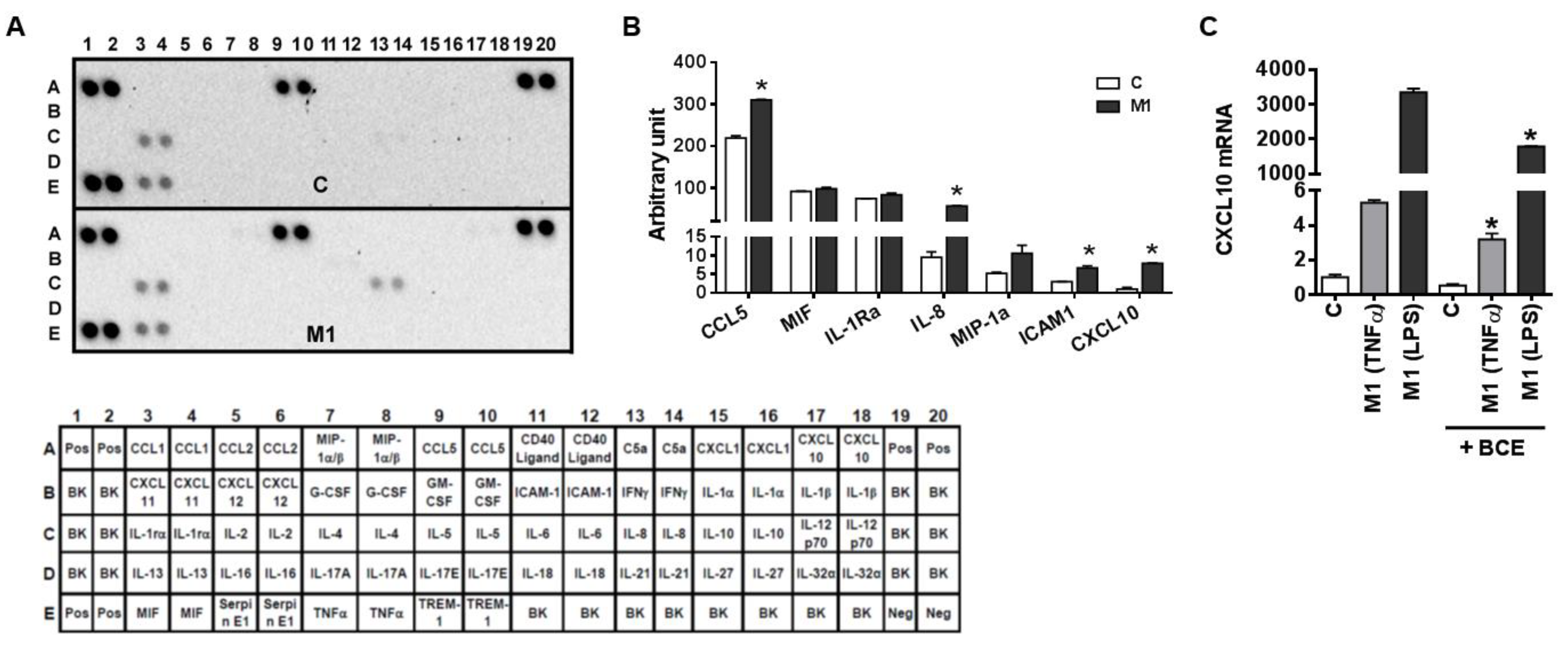 Nutrients 11 00975 g003