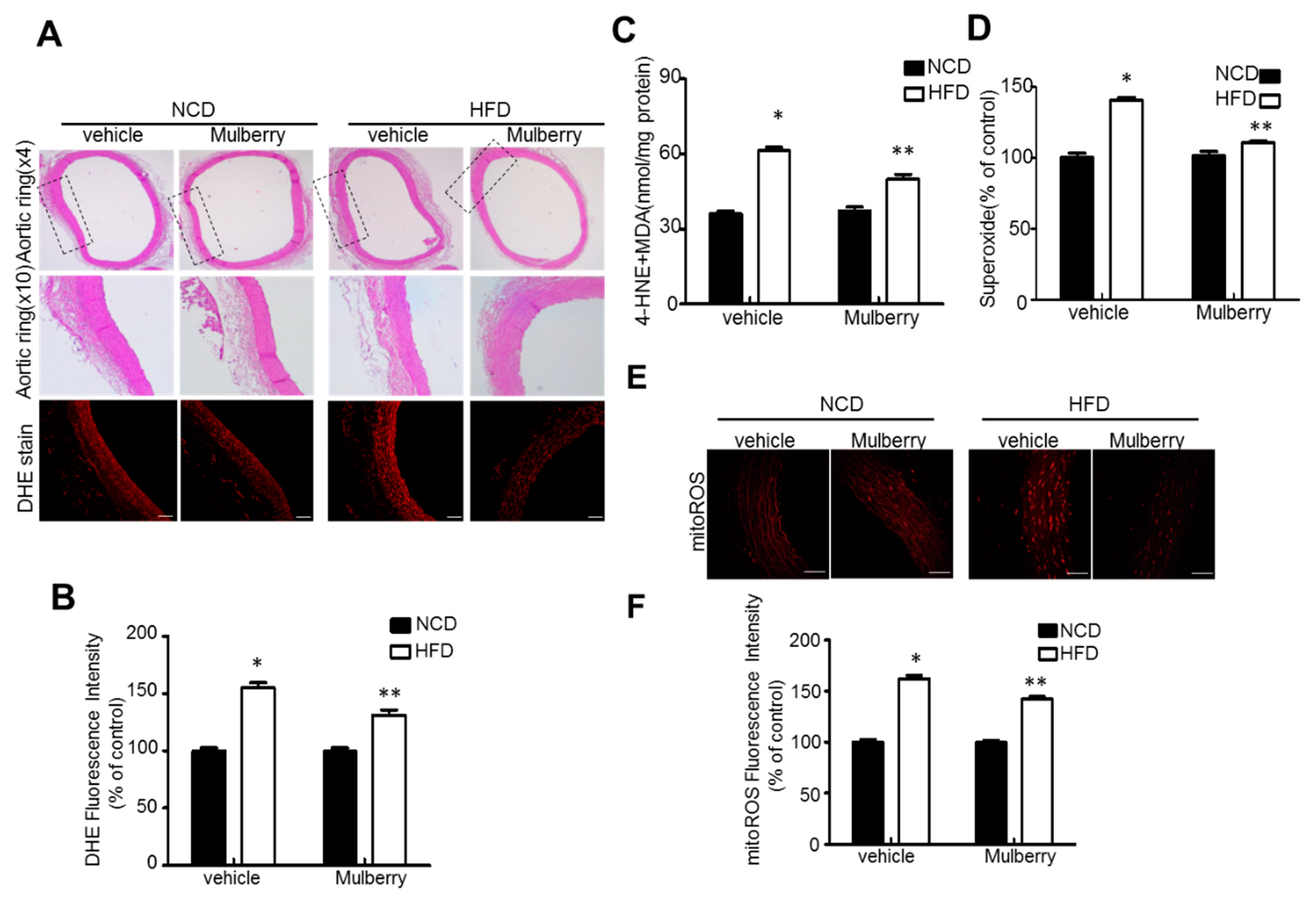 Nutrients Free Full Text Mulberry Extract Attenuates Endothelial Dysfunction Through The Regulation Of Uncoupling Endothelial Nitric Oxide Synthase In High Fat Diet Rats Html Nutrients Free Full Text Mulberry Extract Attenuates Endothelial Dysfunction Through The Regulation Of Uncoupling Endothelial Nitric Oxide Synthase In High Fat Diet Rats Html