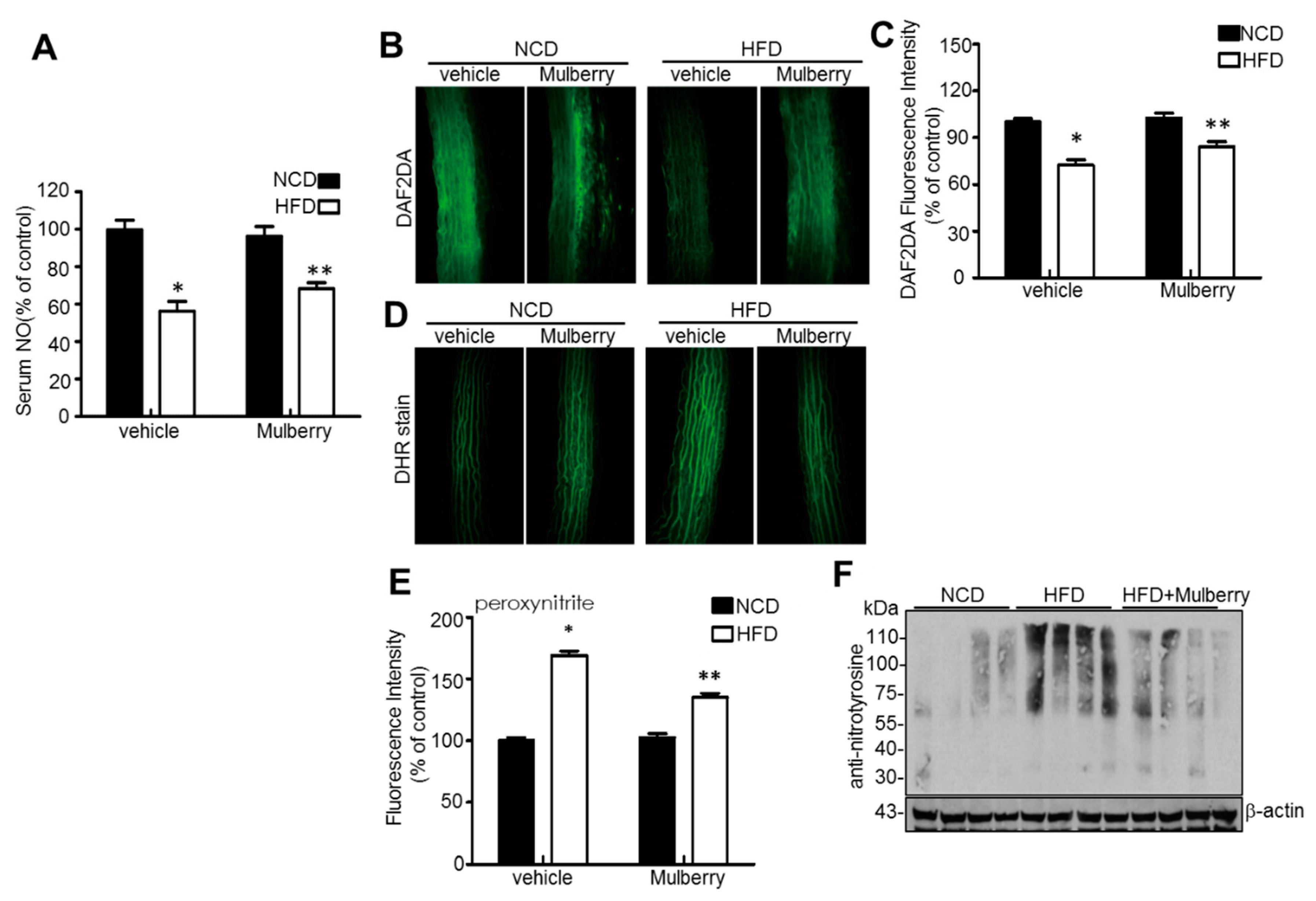 Nutrients Free Full Text Mulberry Extract Attenuates Endothelial Dysfunction Through The Regulation Of Uncoupling Endothelial Nitric Oxide Synthase In High Fat Diet Rats Html Nutrients Free Full Text Mulberry Extract Attenuates Endothelial Dysfunction Through The Regulation Of Uncoupling Endothelial Nitric Oxide Synthase In High Fat Diet Rats Html