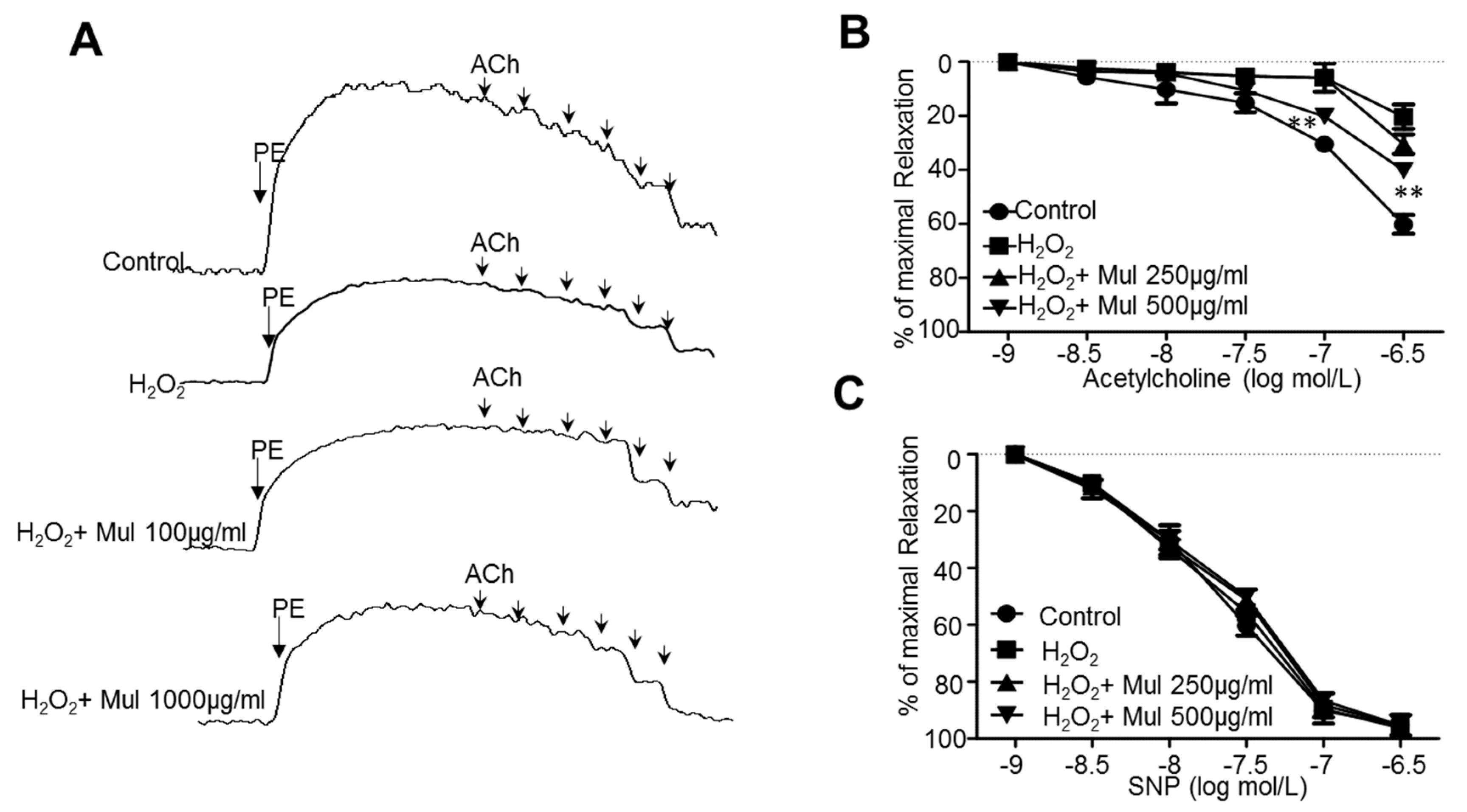Nutrients 11 00978 g006 Nutrients 11 00978 g006