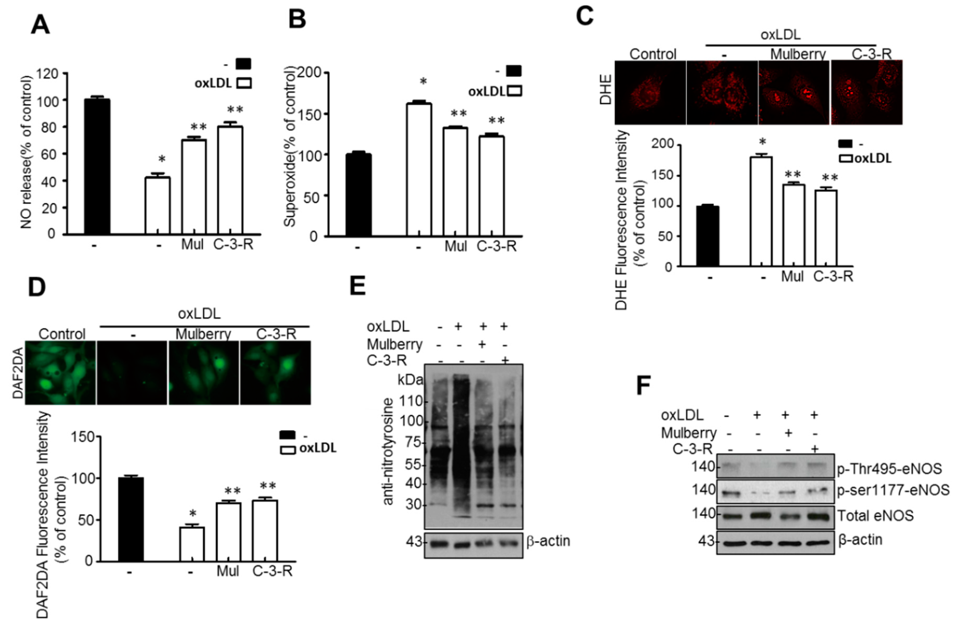 Nutrients 11 00978 g008 Nutrients 11 00978 g008