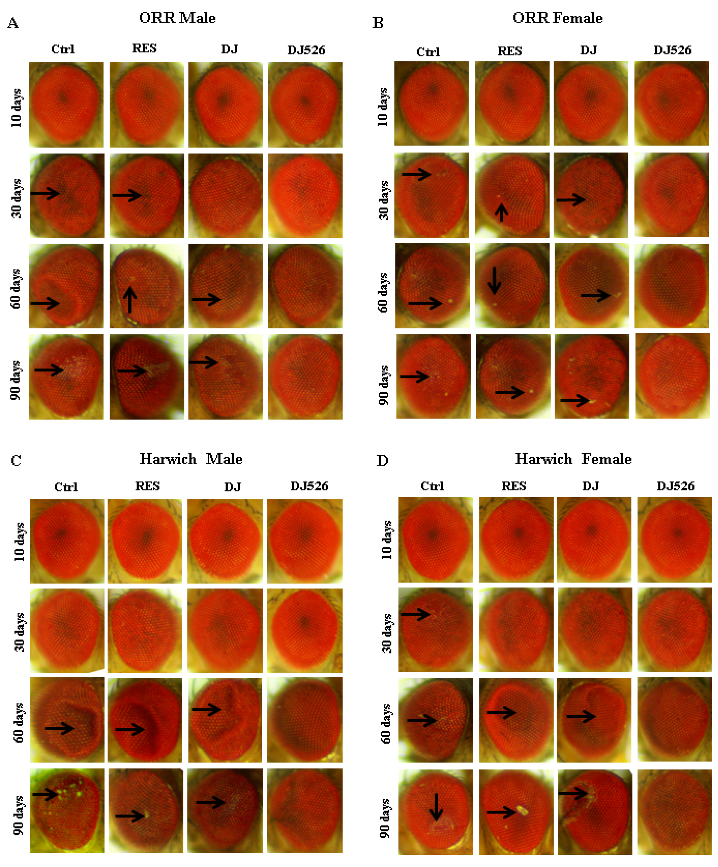 Nutrients 11 00983 g004