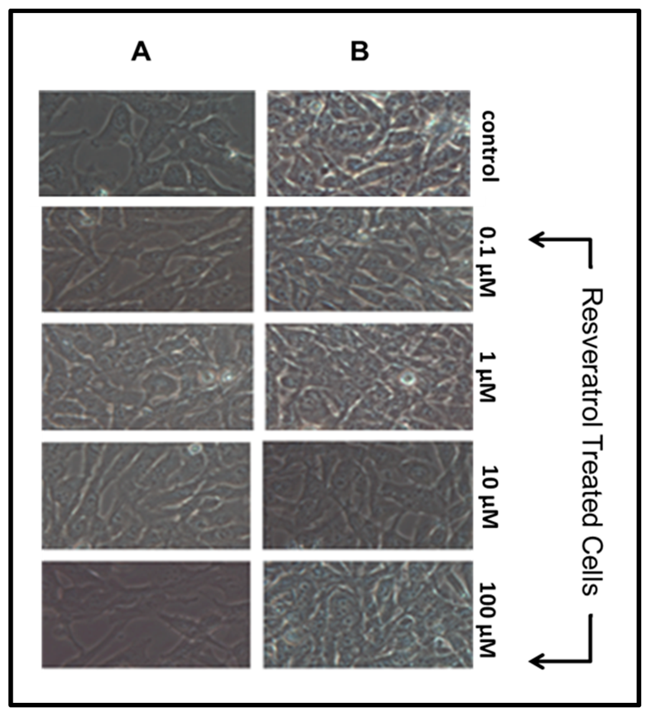 Nutrients 11 00984 g001
