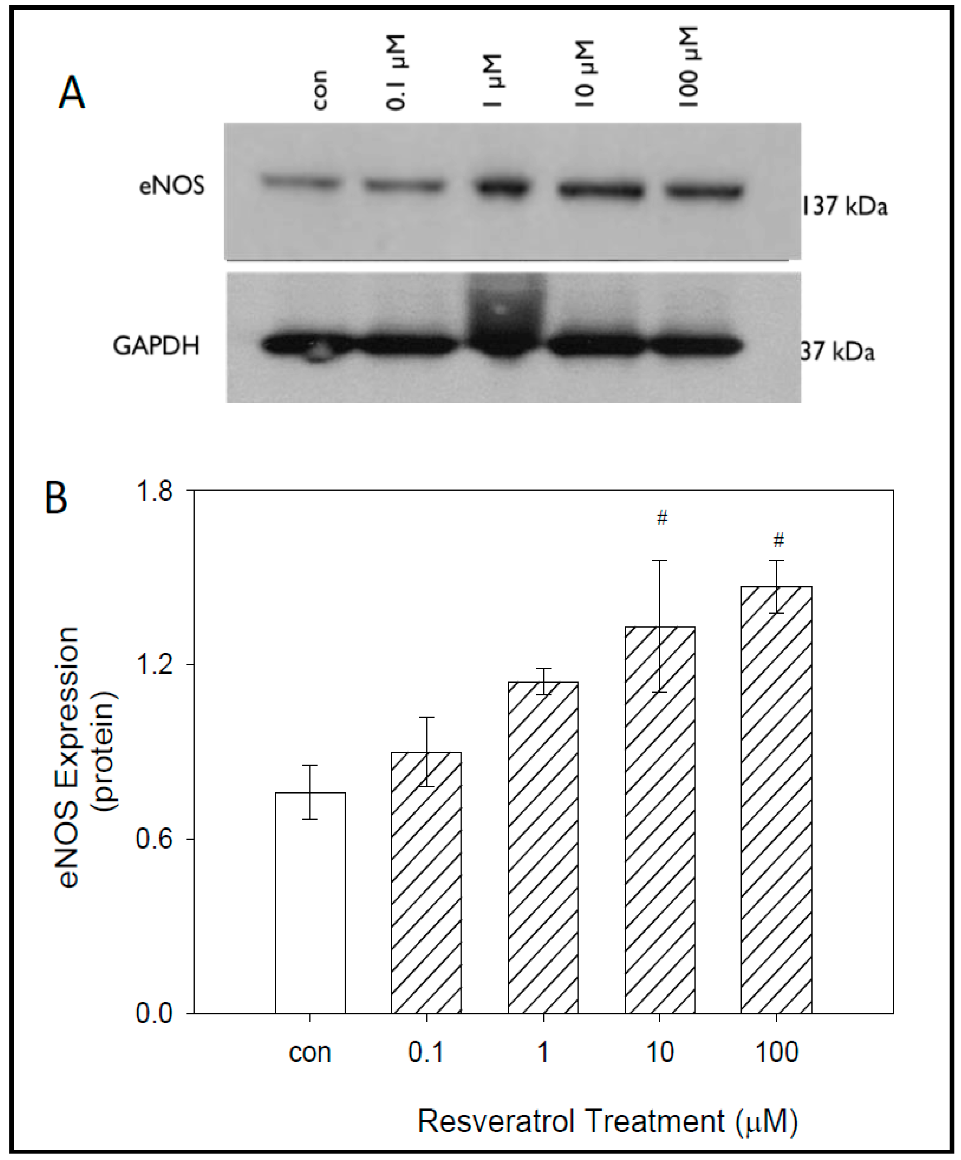 Nutrients 11 00984 g004