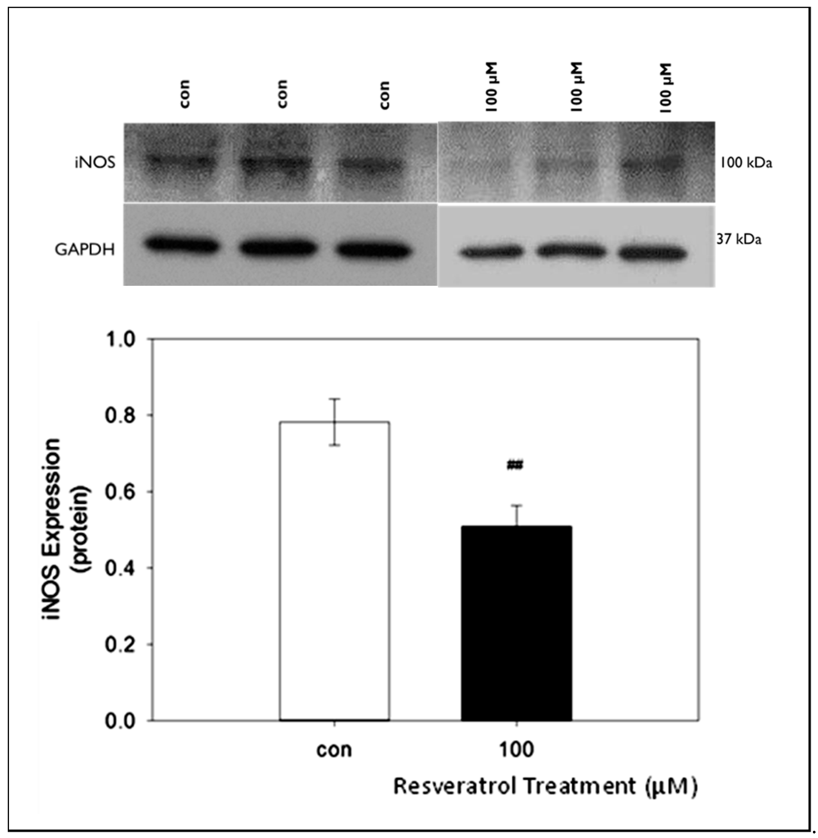 Nutrients 11 00984 g005