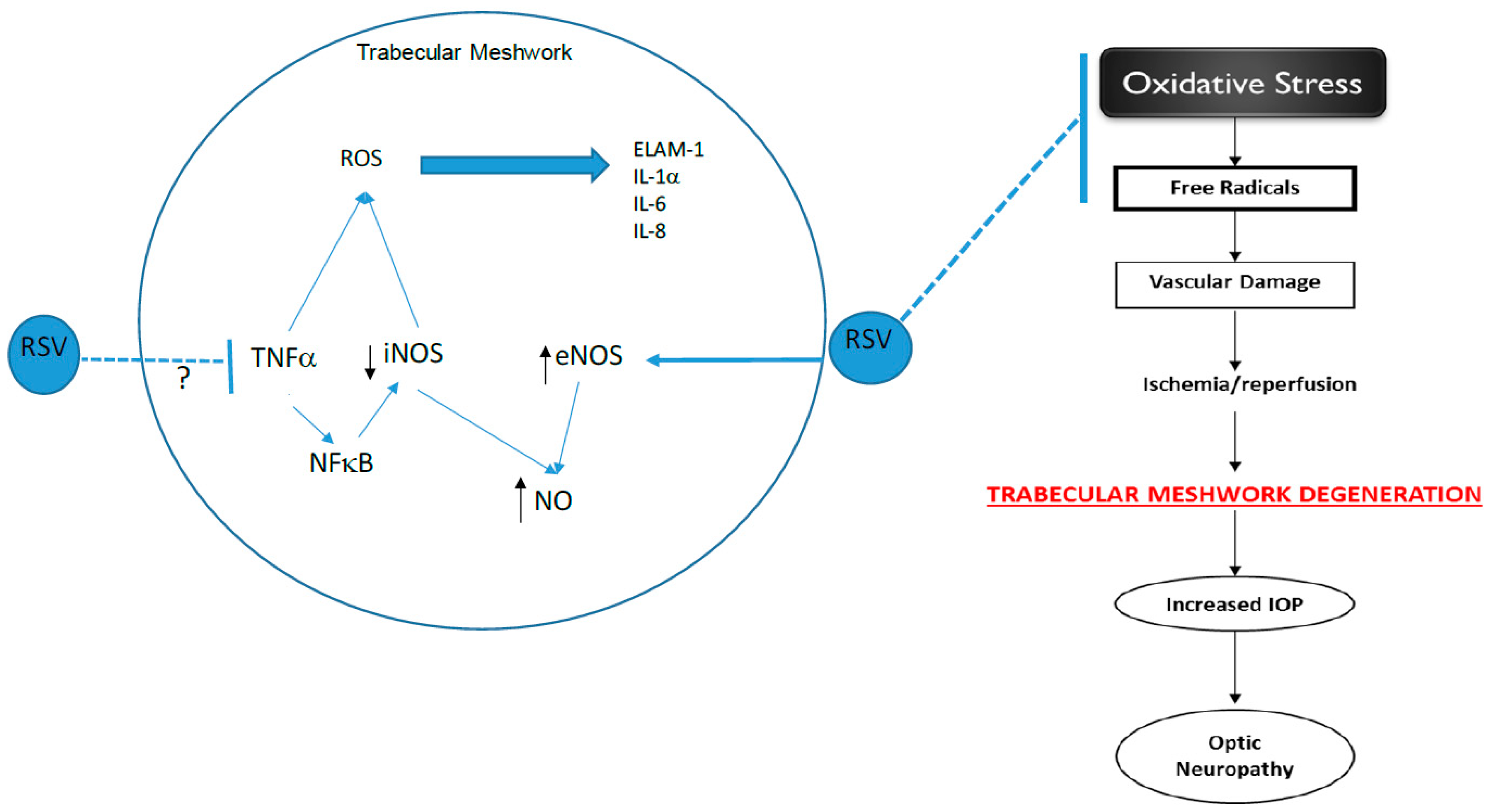Nutrients 11 00984 g007