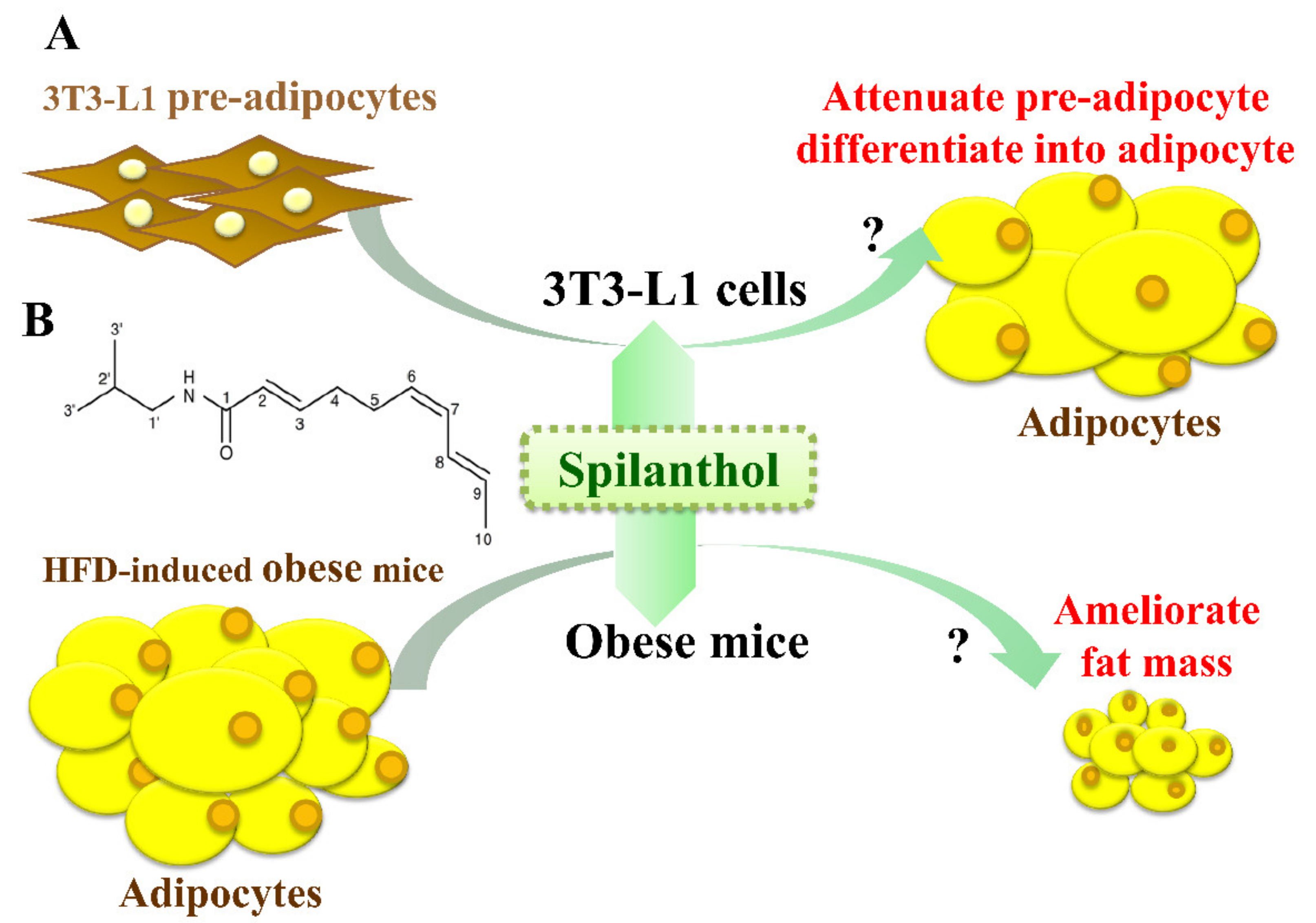 Nutrients 11 00991 g001