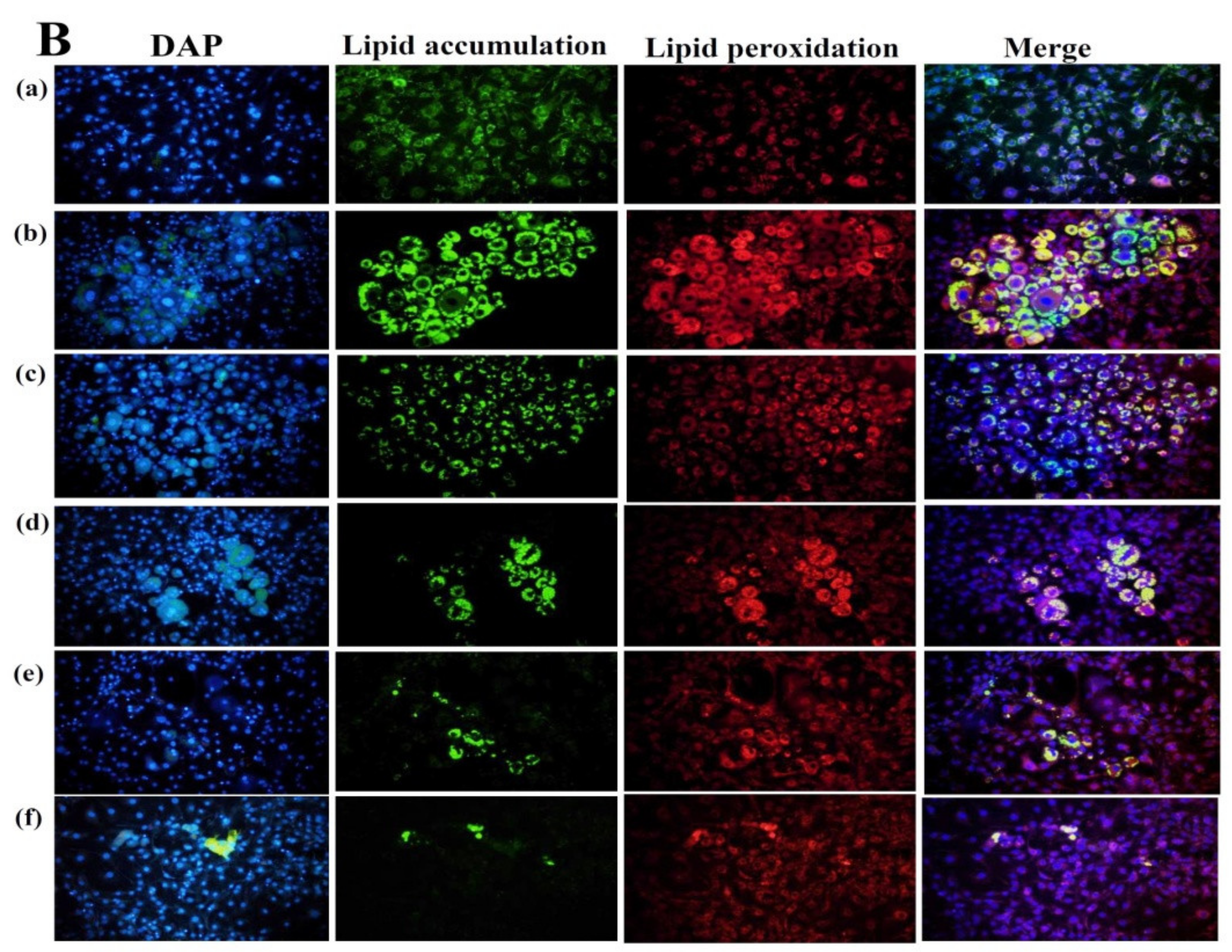 Nutrients 11 00991 g002b