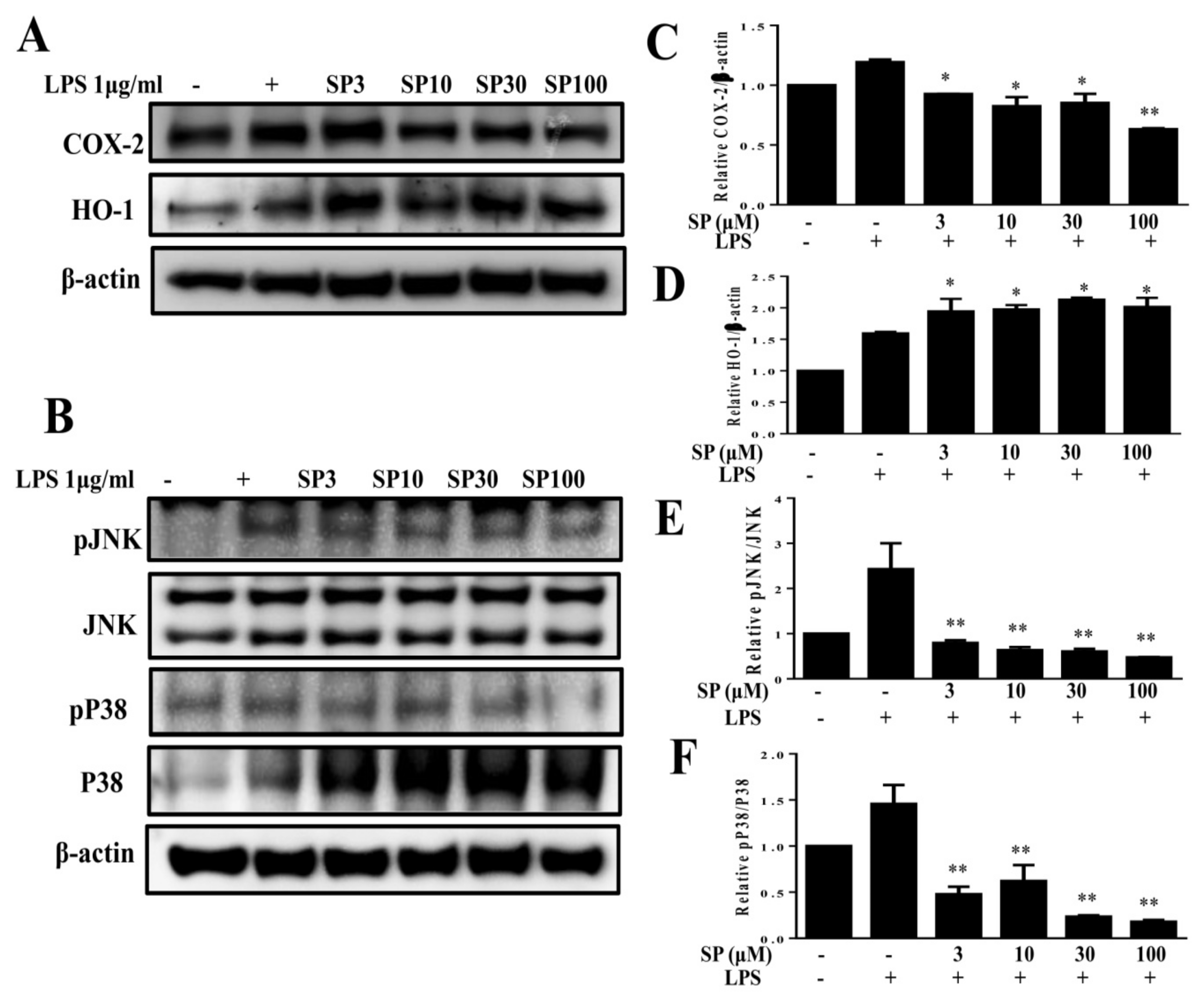 Nutrients 11 00991 g004