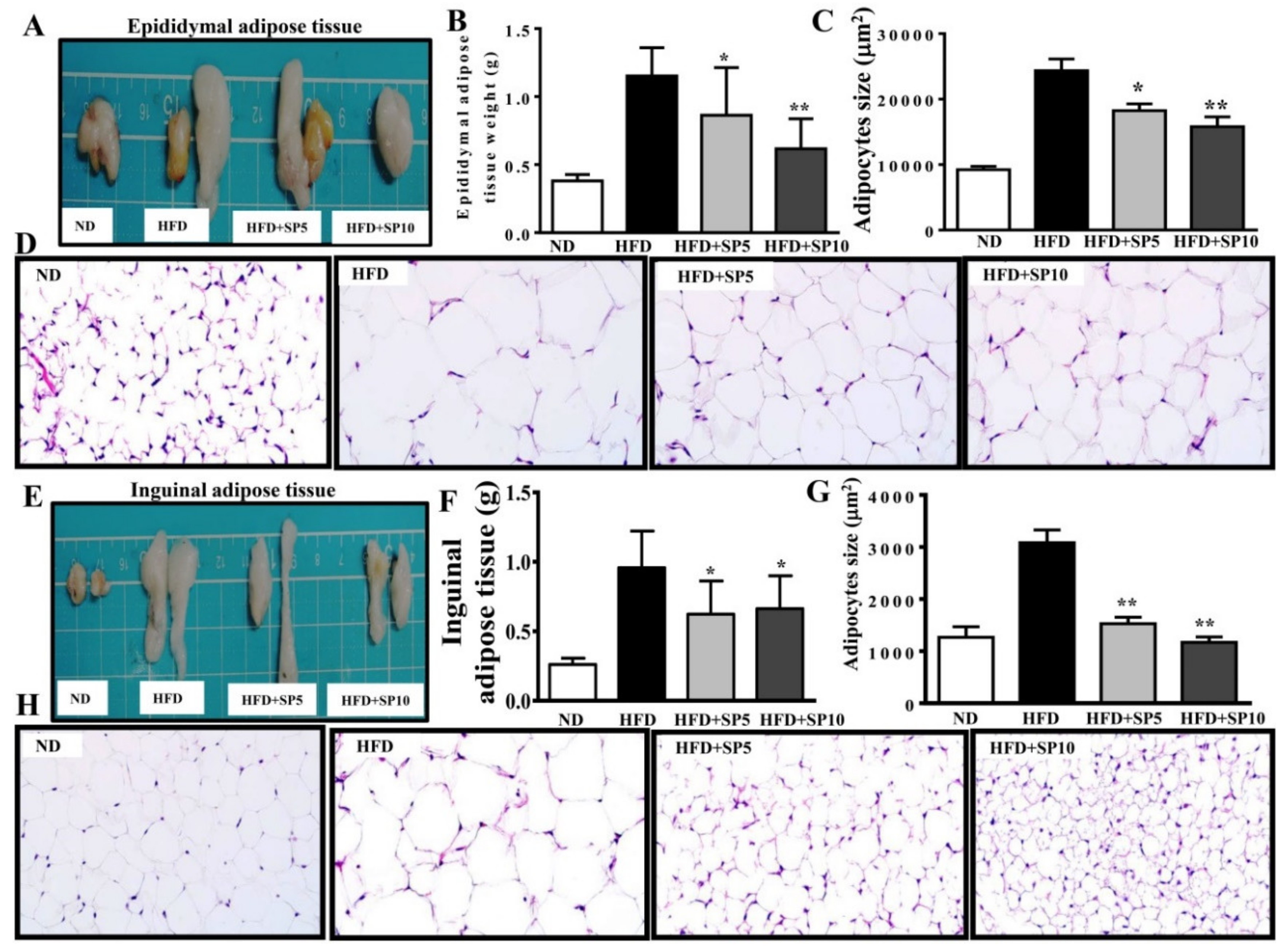 Nutrients 11 00991 g006