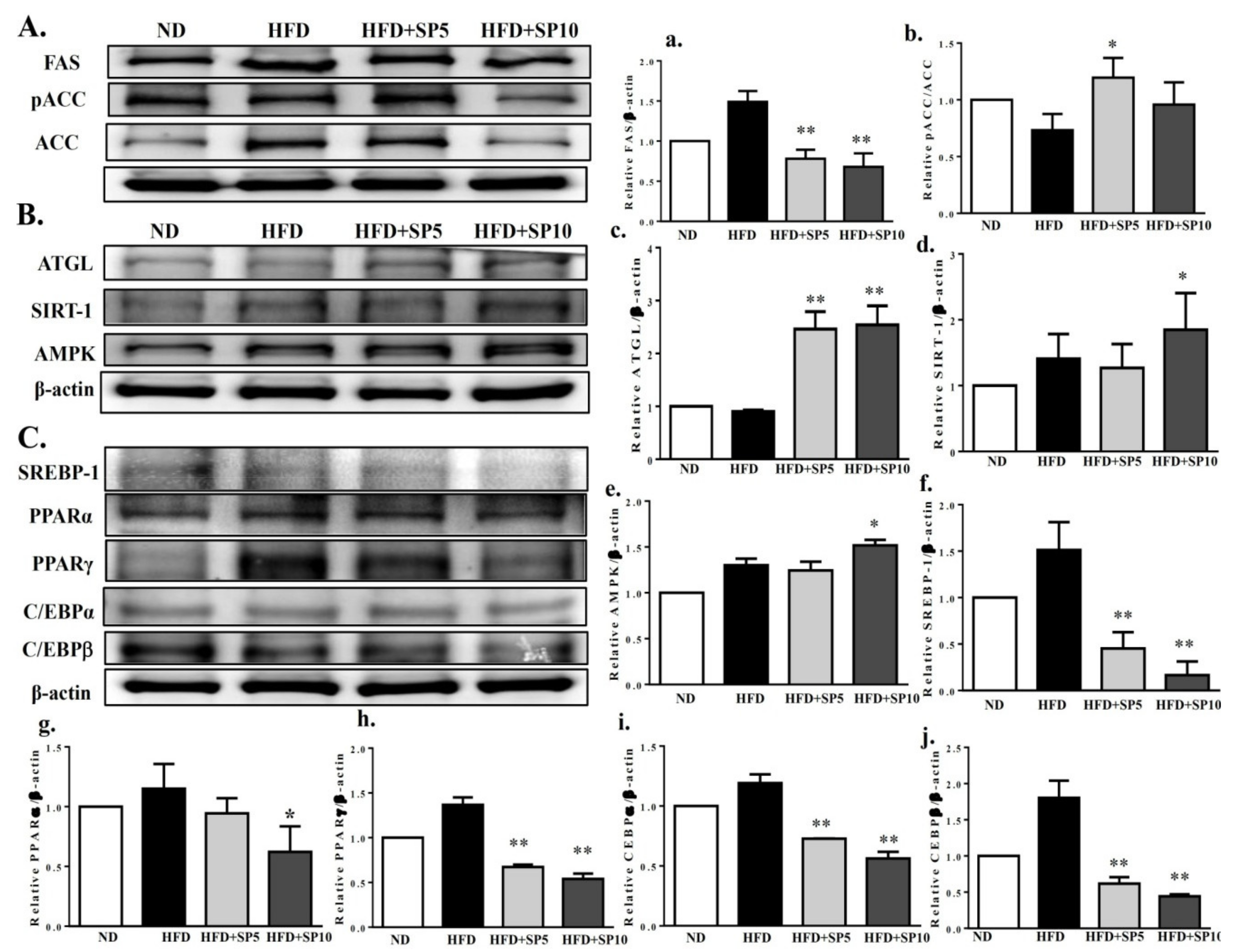 Nutrients 11 00991 g008