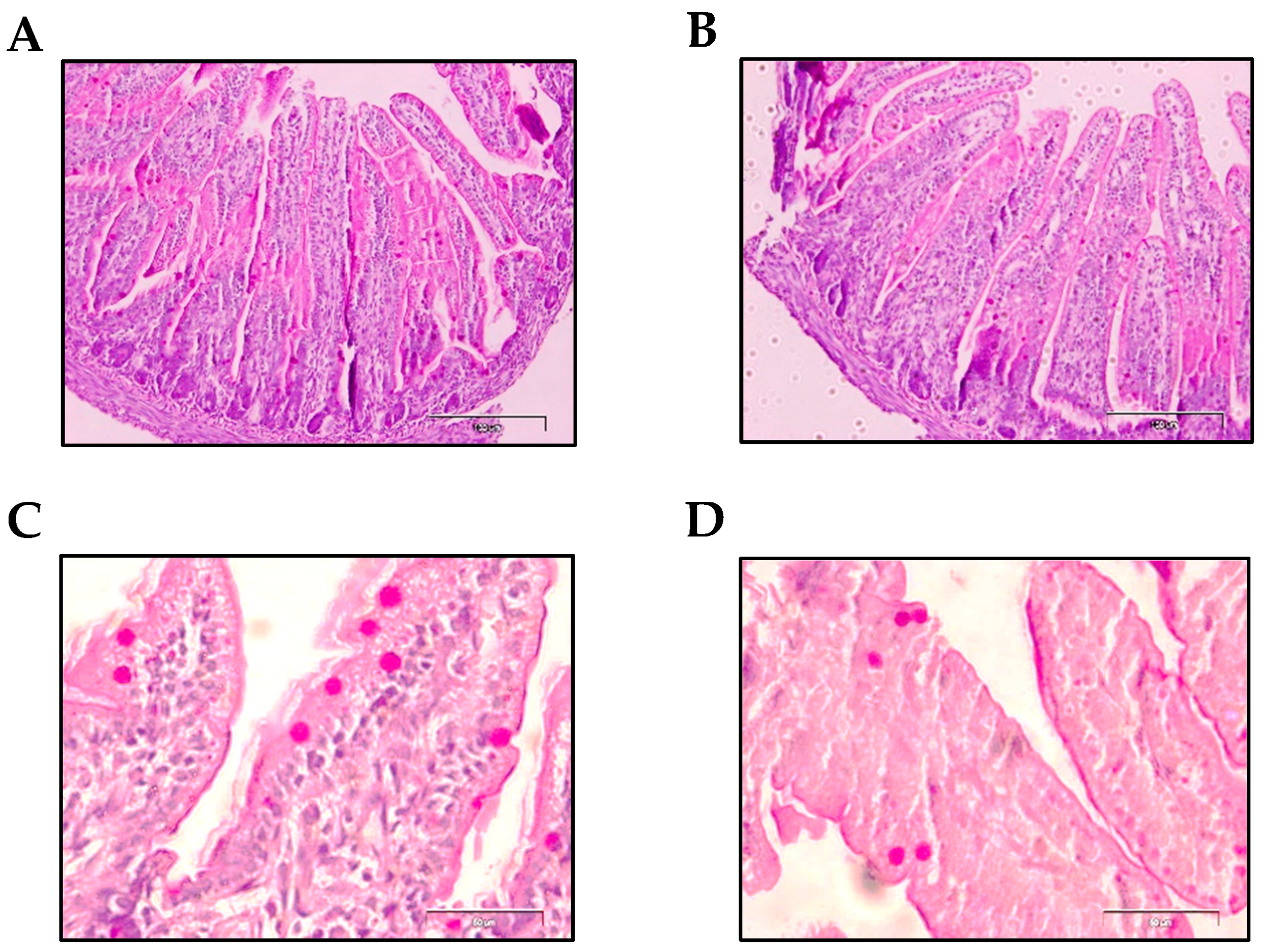 Nutrients 11 00999 g006 Nutrients 11 00999 g006