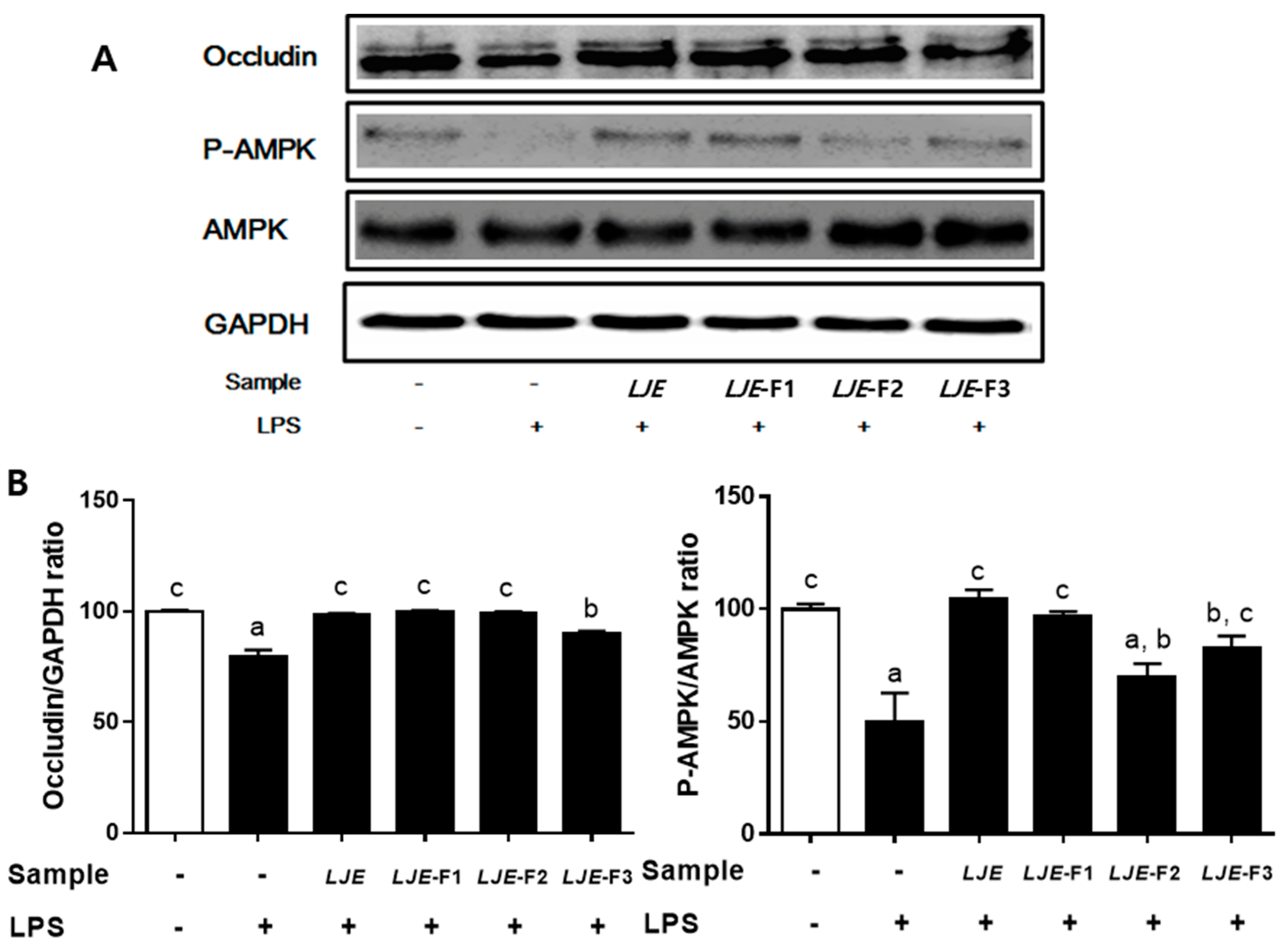Nutrients 11 01001 g005 Nutrients 11 01001 g005