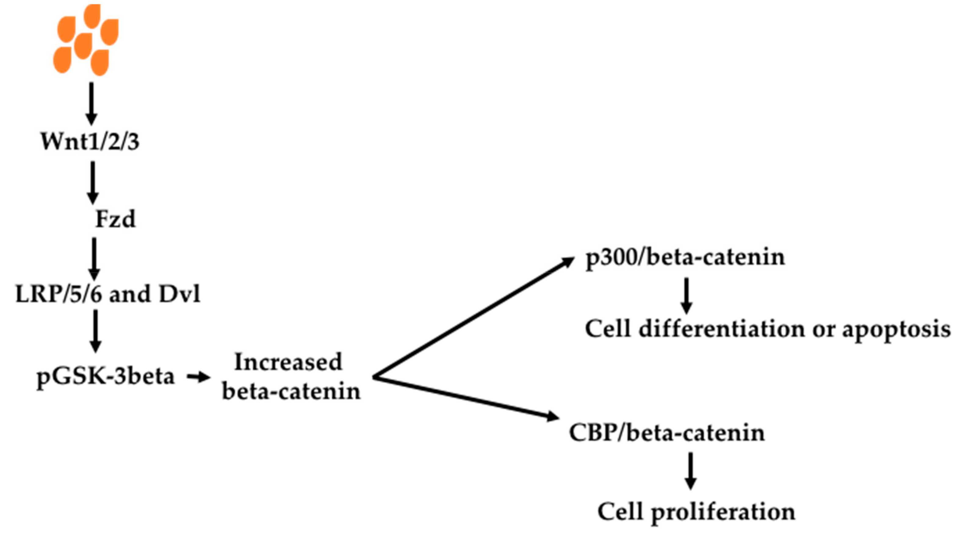 Nutrients 11 01026 g005
