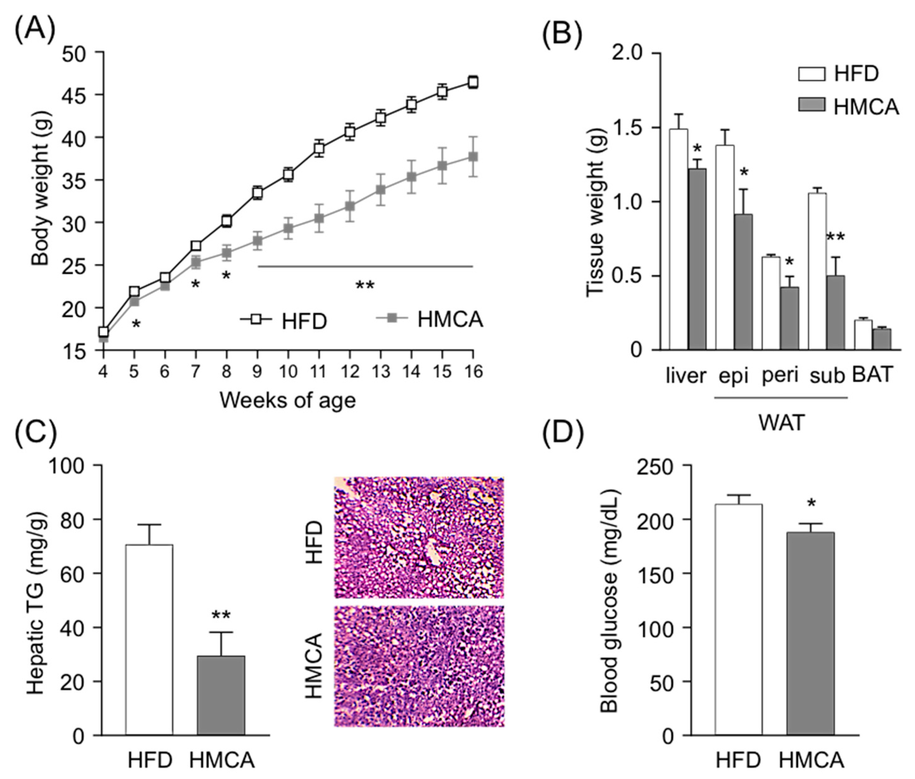 Nutrients Free Full Text 3 4 Hydroxy 3 Methoxyphenyl Propionic Acid Produced From 4 Hydroxy 3 Methoxycinnamic Acid By Gut Microbiota Improves Host Metabolic Condition In Diet Induced Obese Mice
