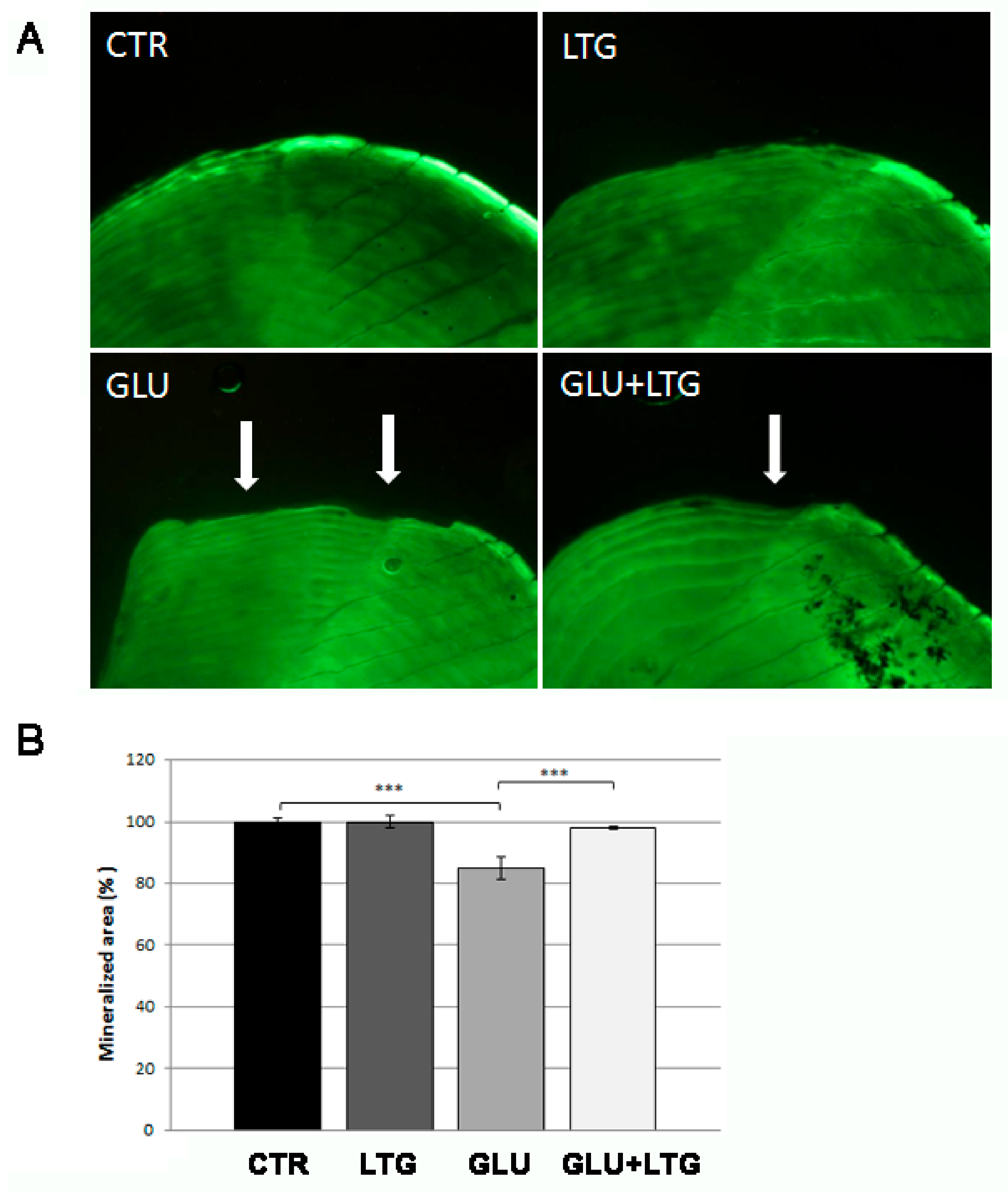 Nutrients 11 01042 g002