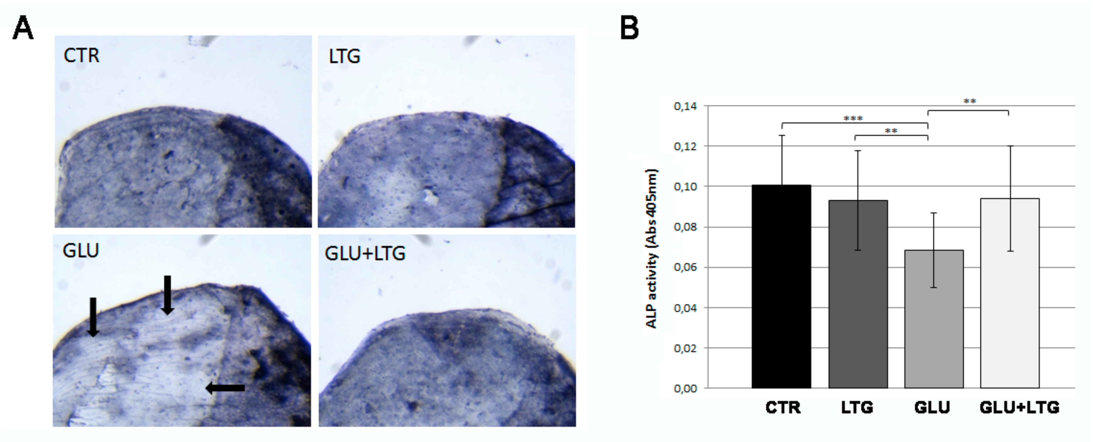 Nutrients 11 01042 g004