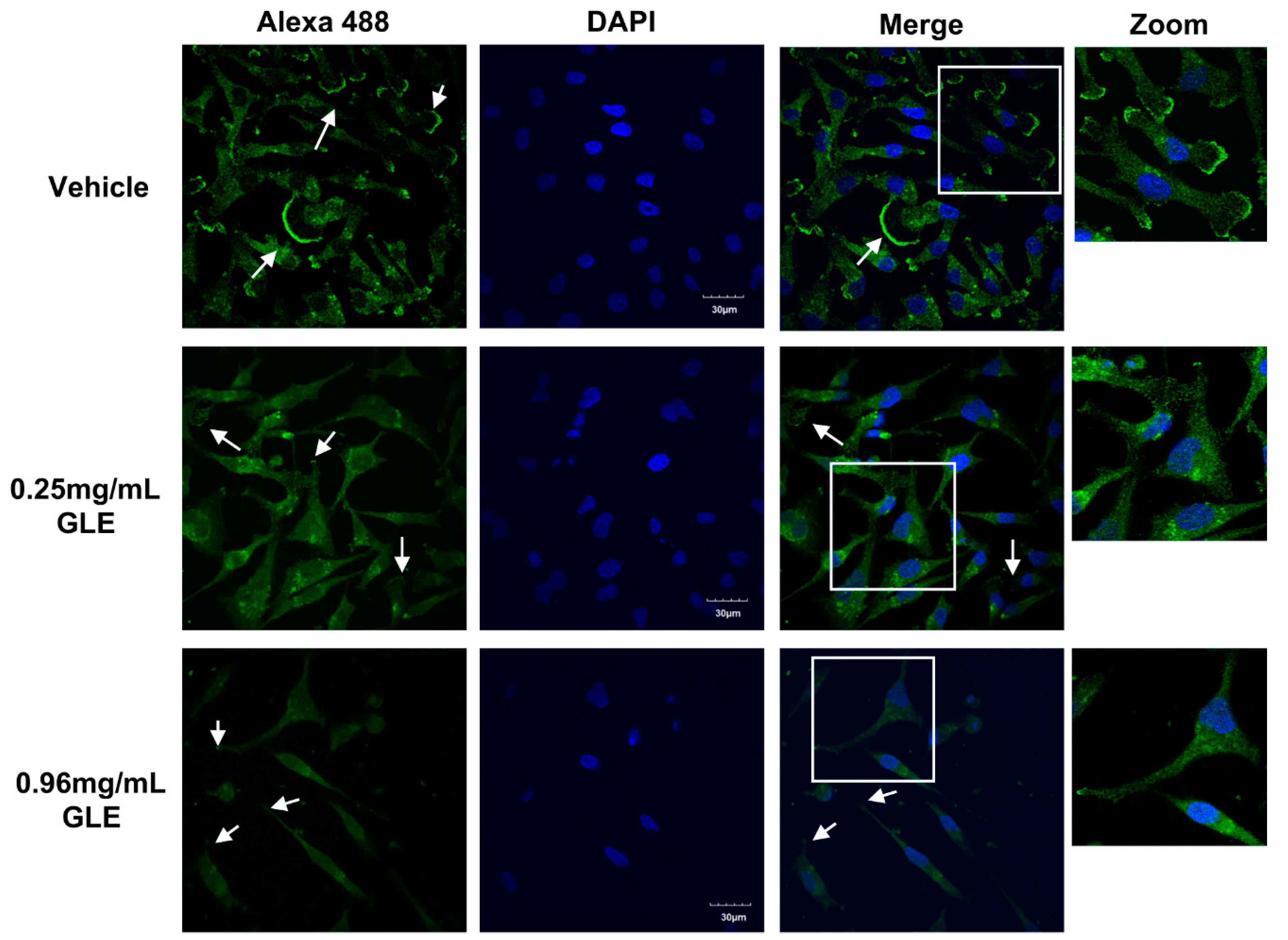 Nutrients 11 01116 g005 Nutrients 11 01116 g005