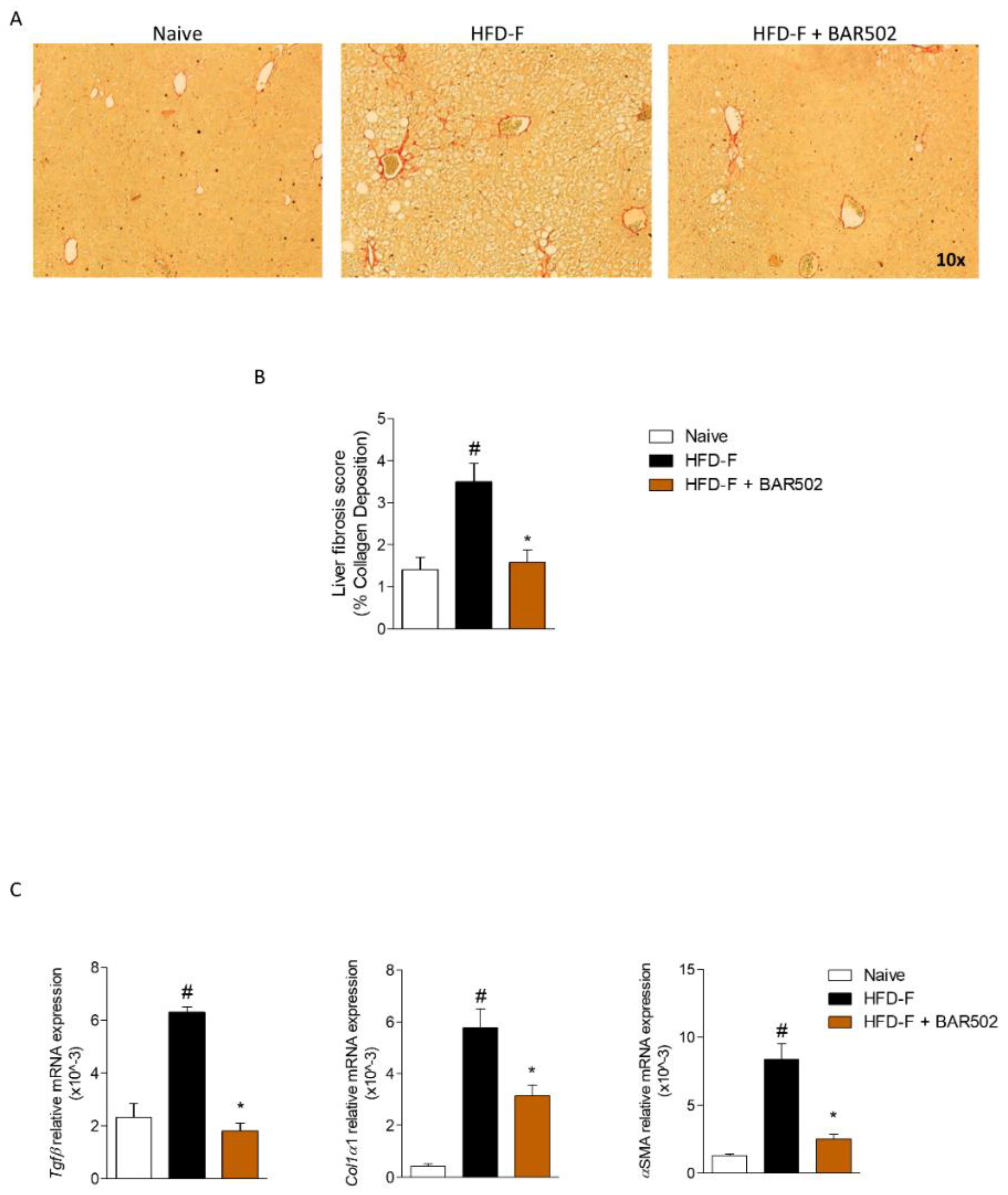 Transcriptome Analysis of Dual FXR and GPBAR1 Agonism in