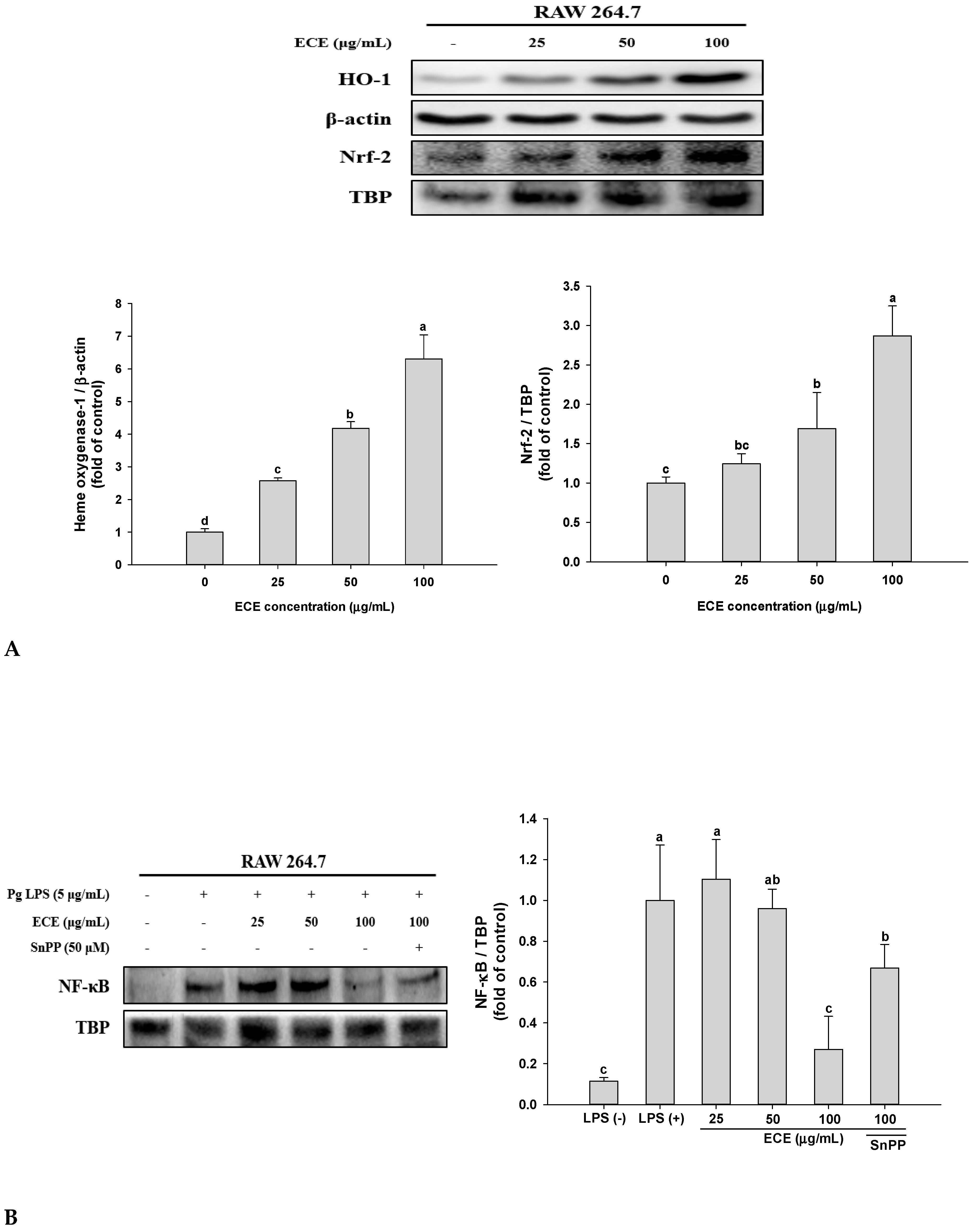 Nutrients 11 01143 g003 Nutrients 11 01143 g003
