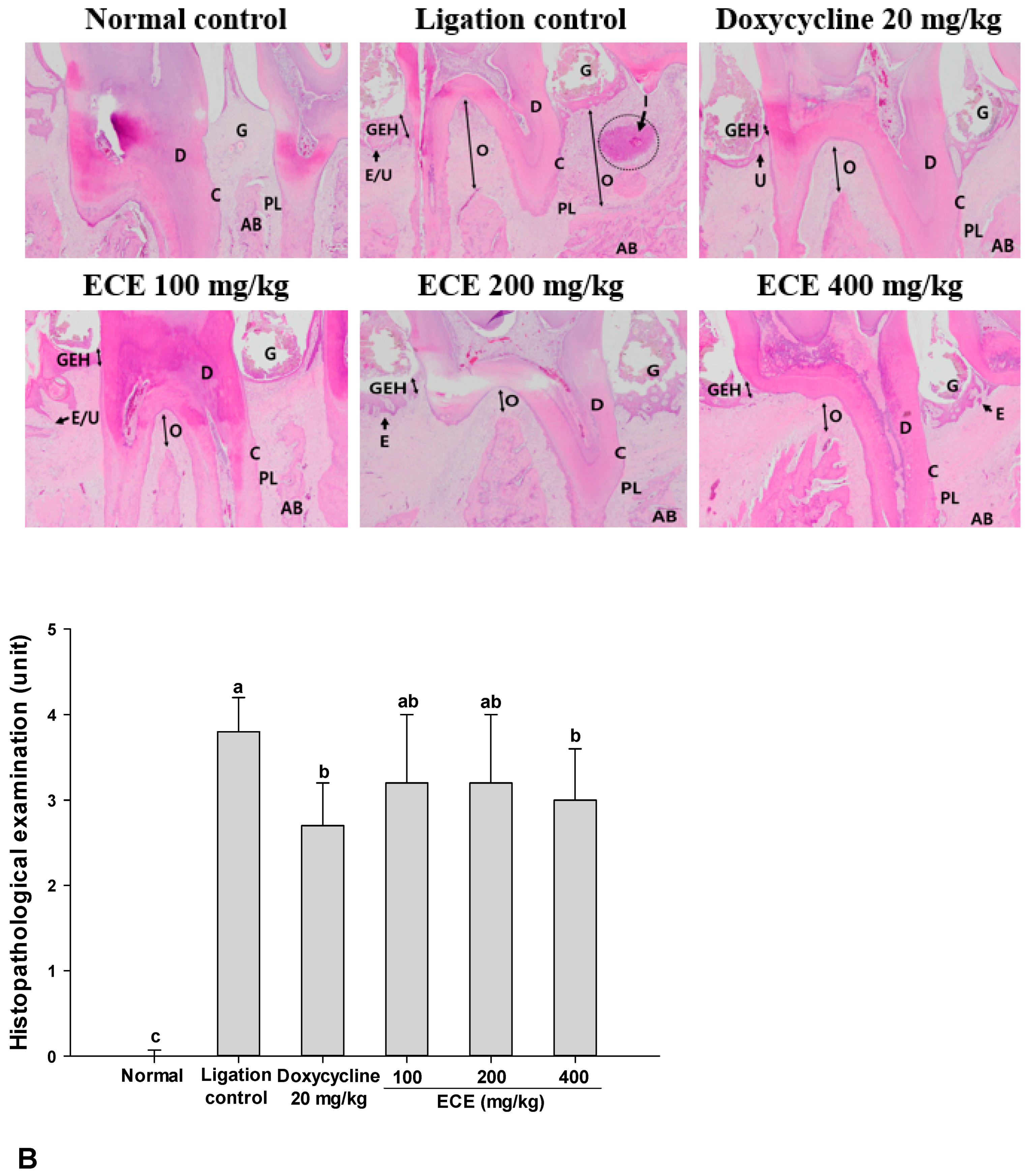 Nutrients 11 01143 g004b Nutrients 11 01143 g004b