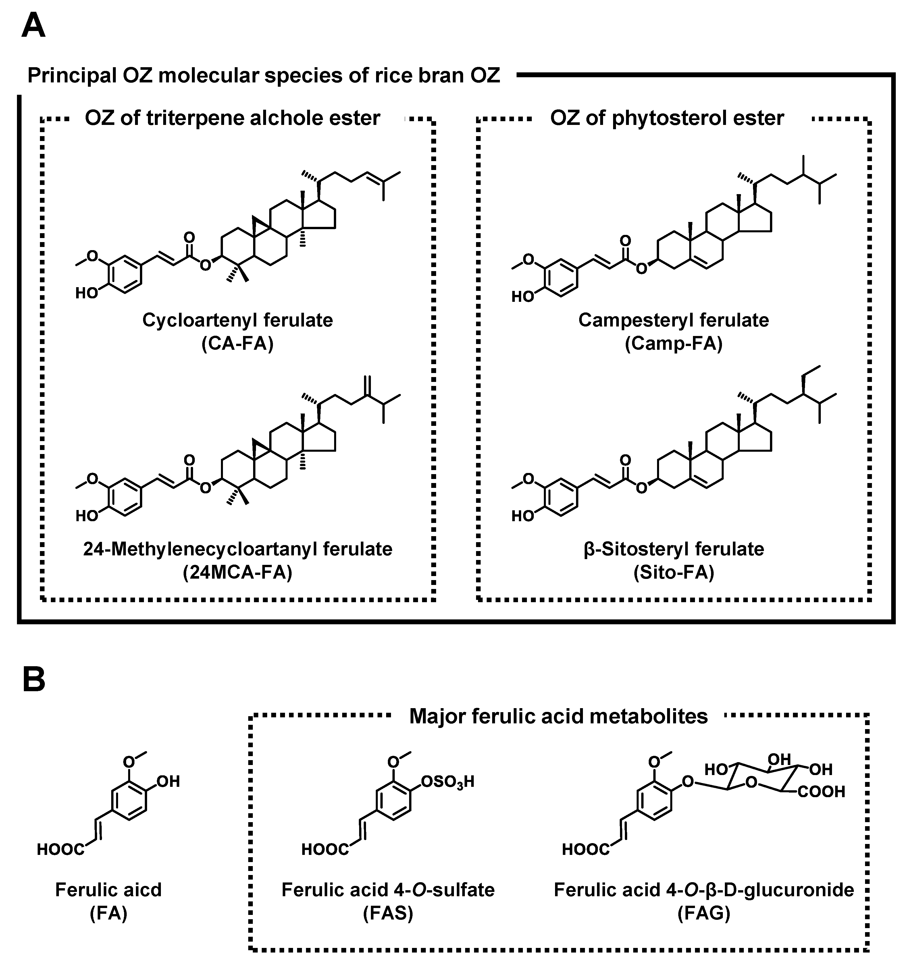 Nutrients 11 01174 g001 Nutrients 11 01174 g001