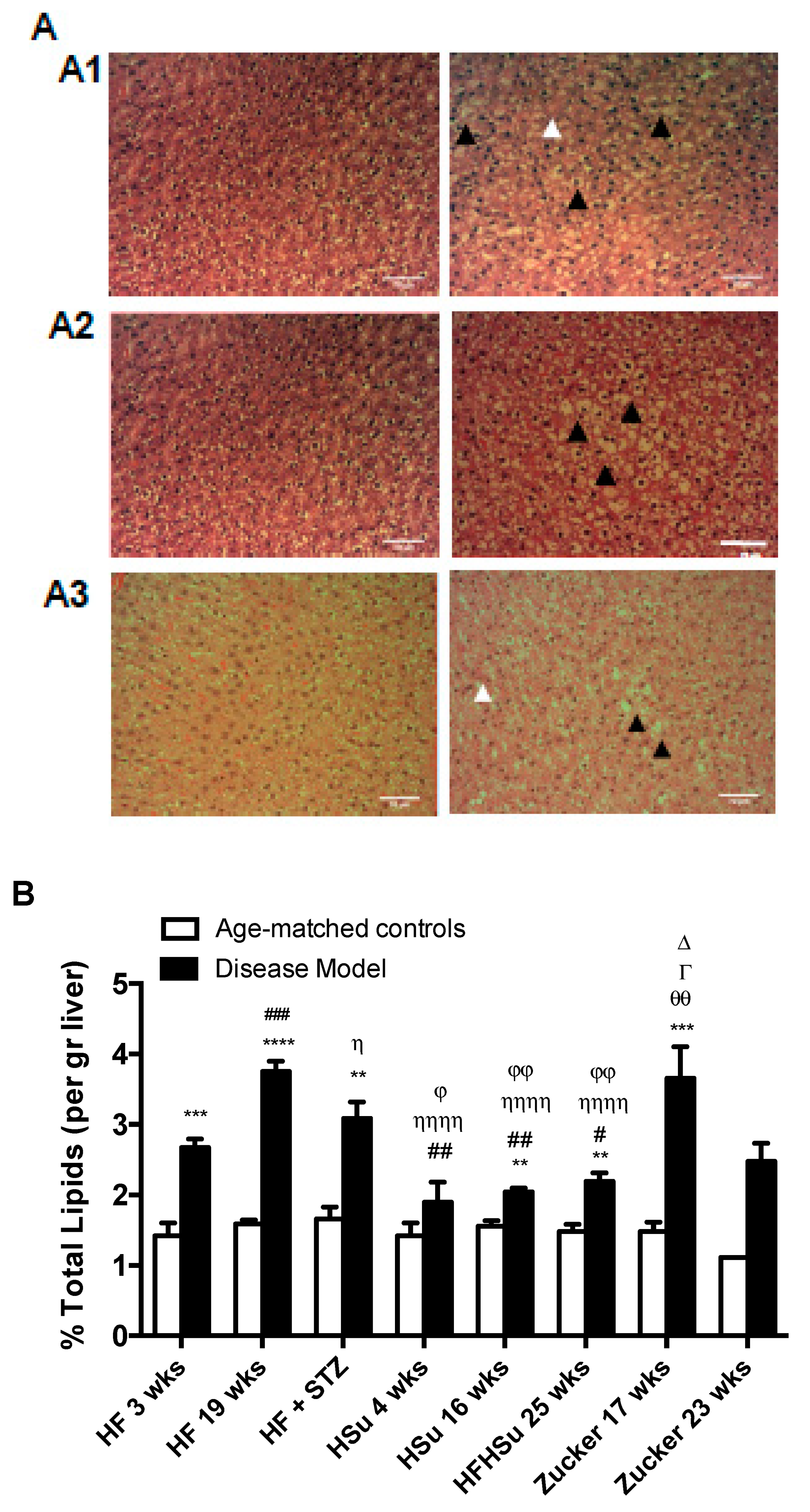Nutrients 11 01197 g005 Nutrients 11 01197 g005