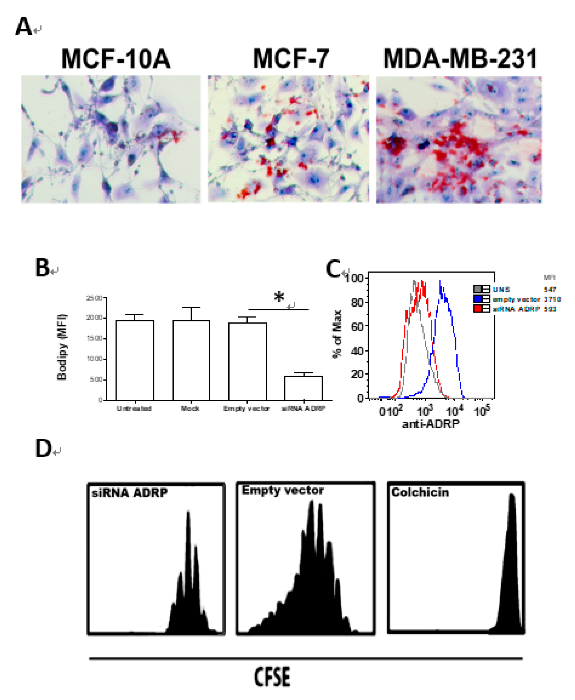 Nutrients 11 01199 g001 Nutrients 11 01199 g001