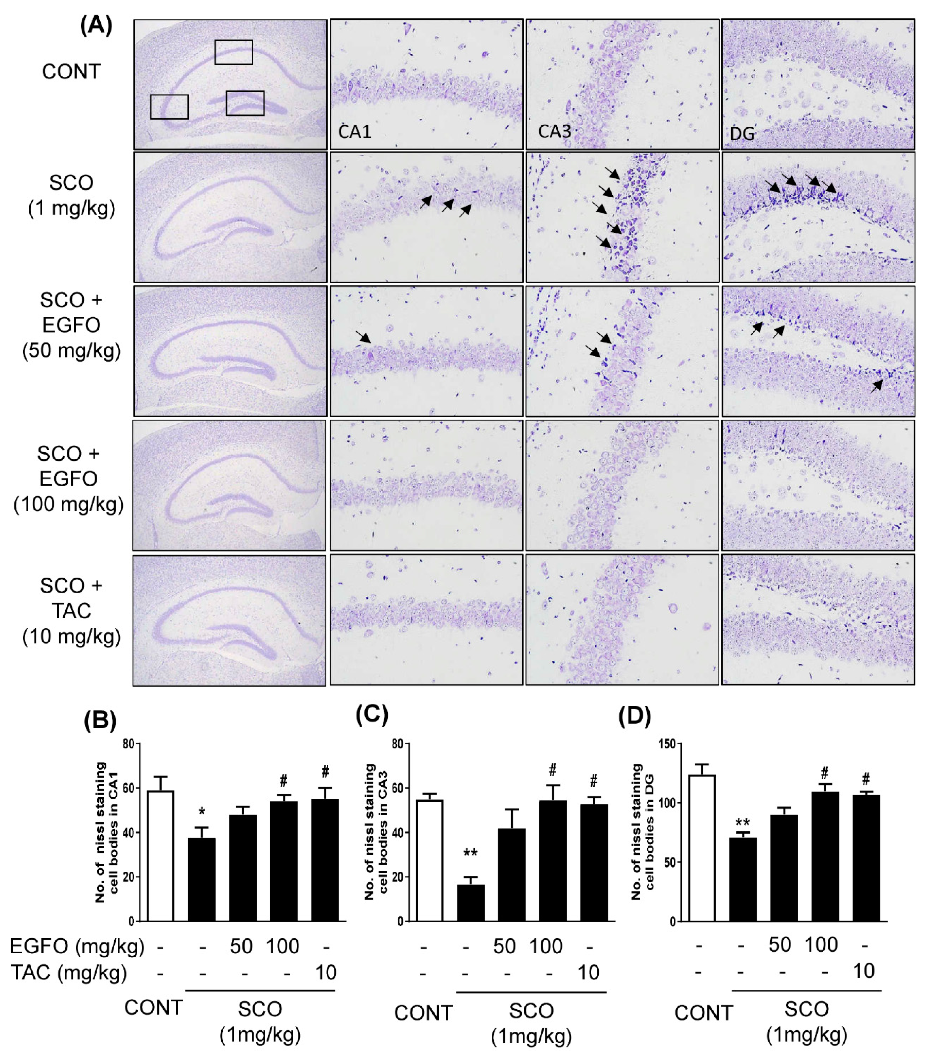 Nutrients 11 01205 g005