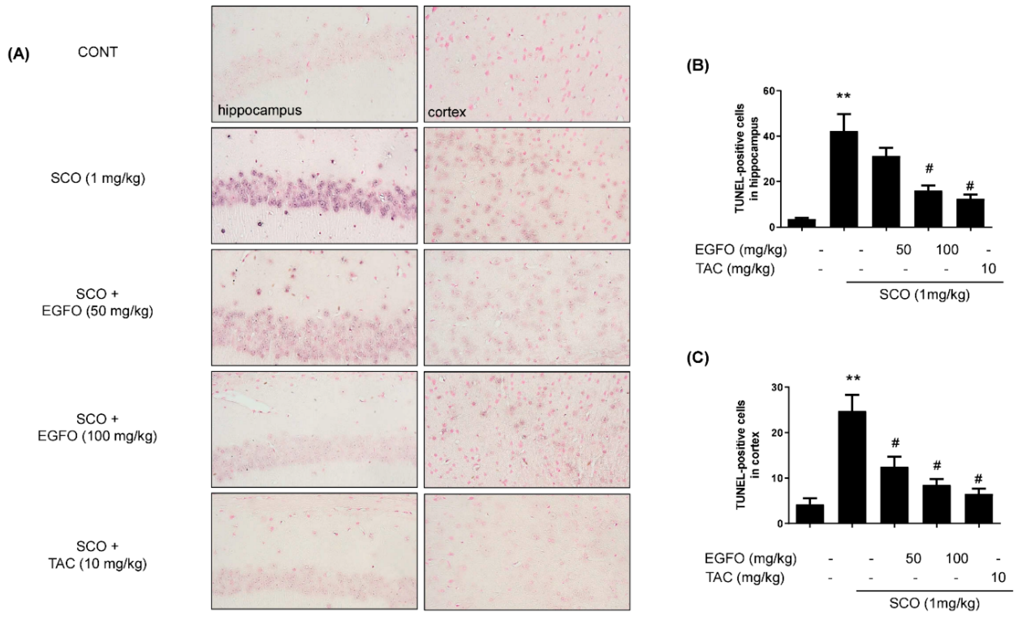 Nutrients 11 01205 g007