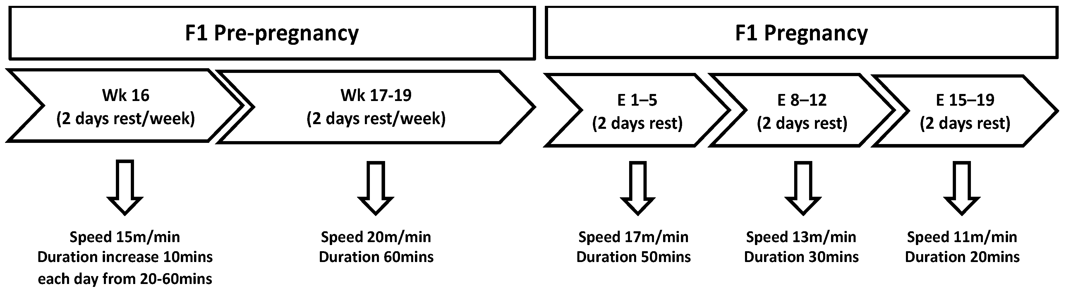 Nutrients 11 01236 g001 Nutrients 11 01236 g001