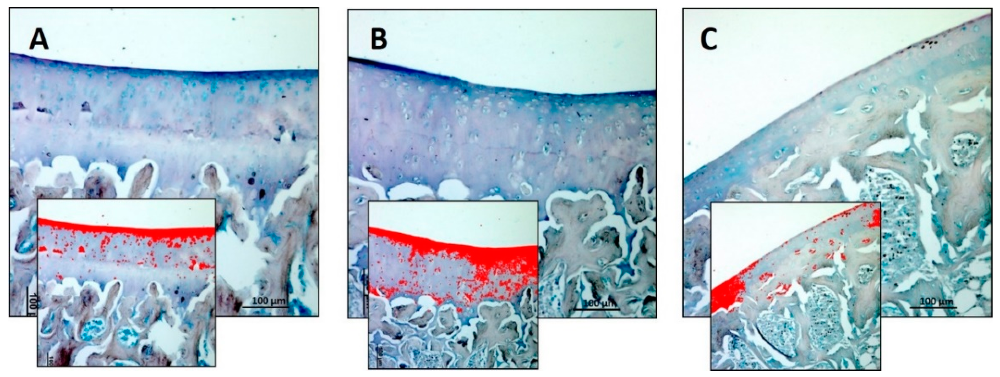 Nutrients 11 01260 g002