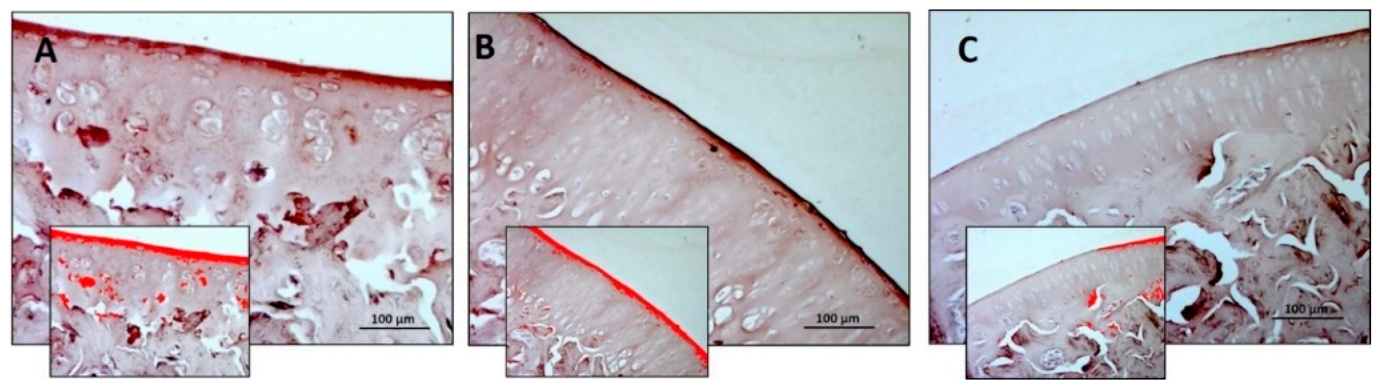 Nutrients 11 01260 g004