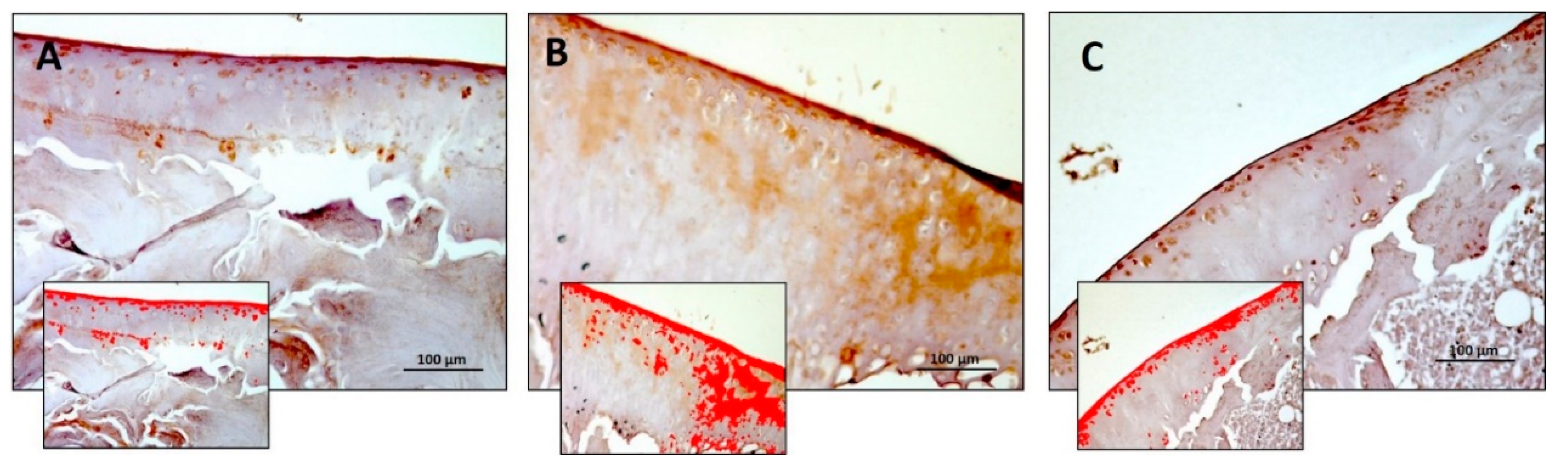 Nutrients 11 01260 g006