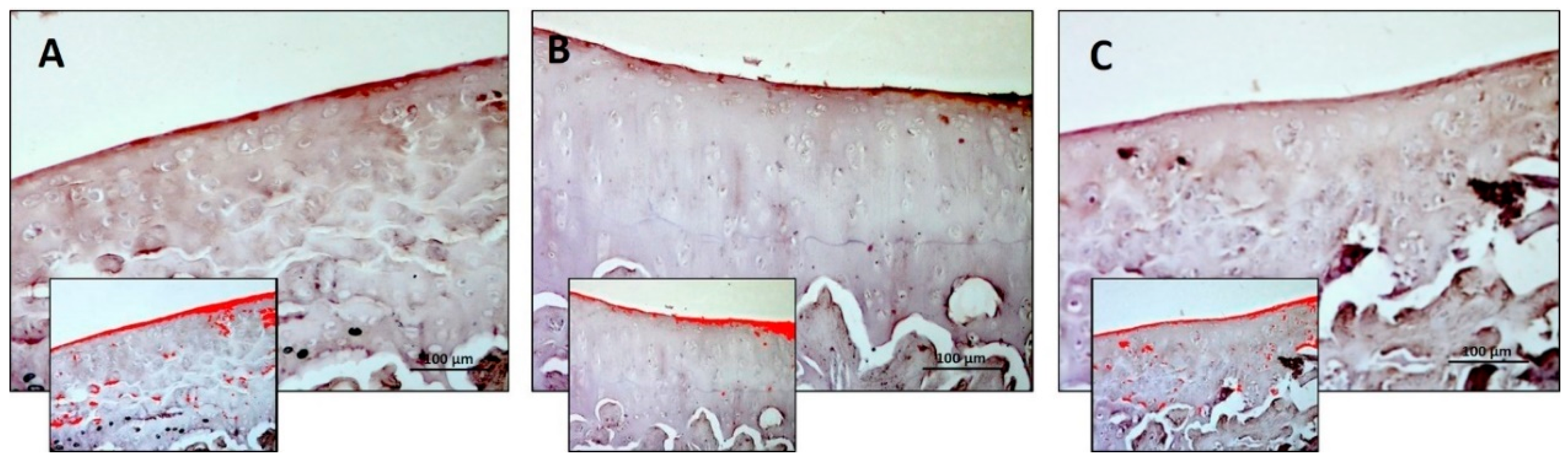 Nutrients 11 01260 g007