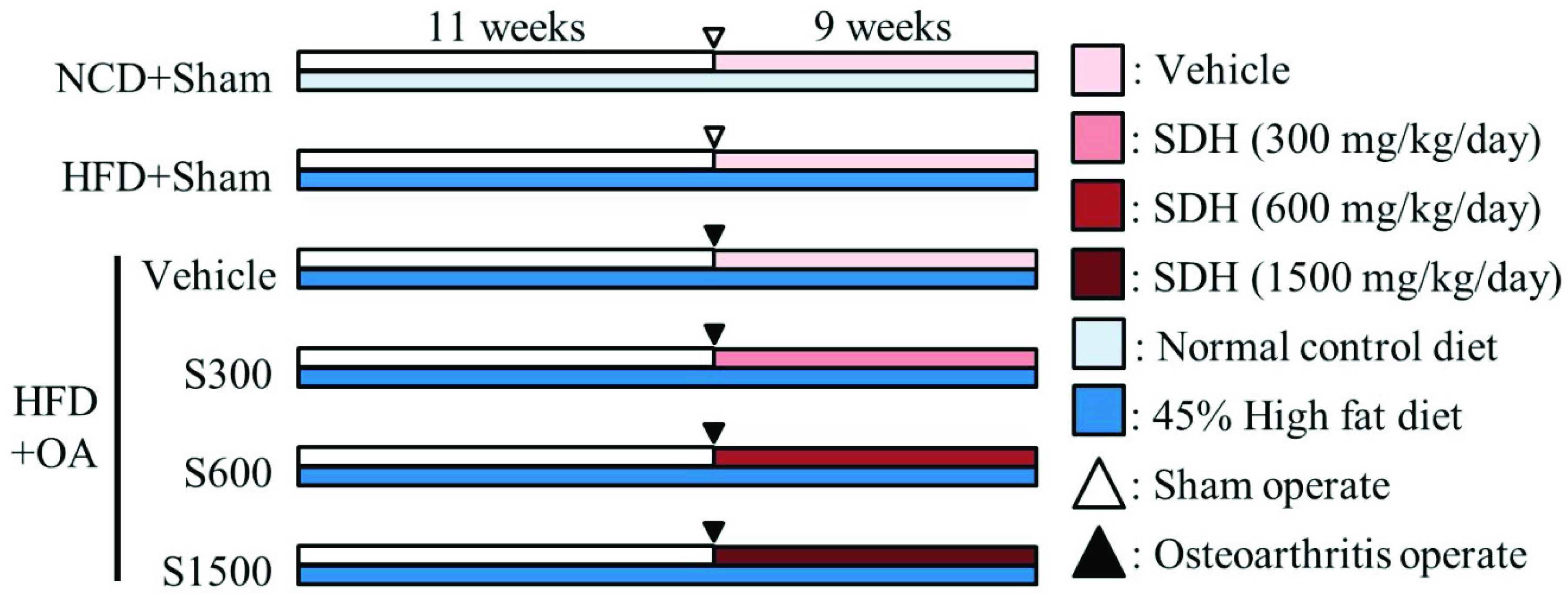 Nutrients 11 01312 g001 Nutrients 11 01312 g001
