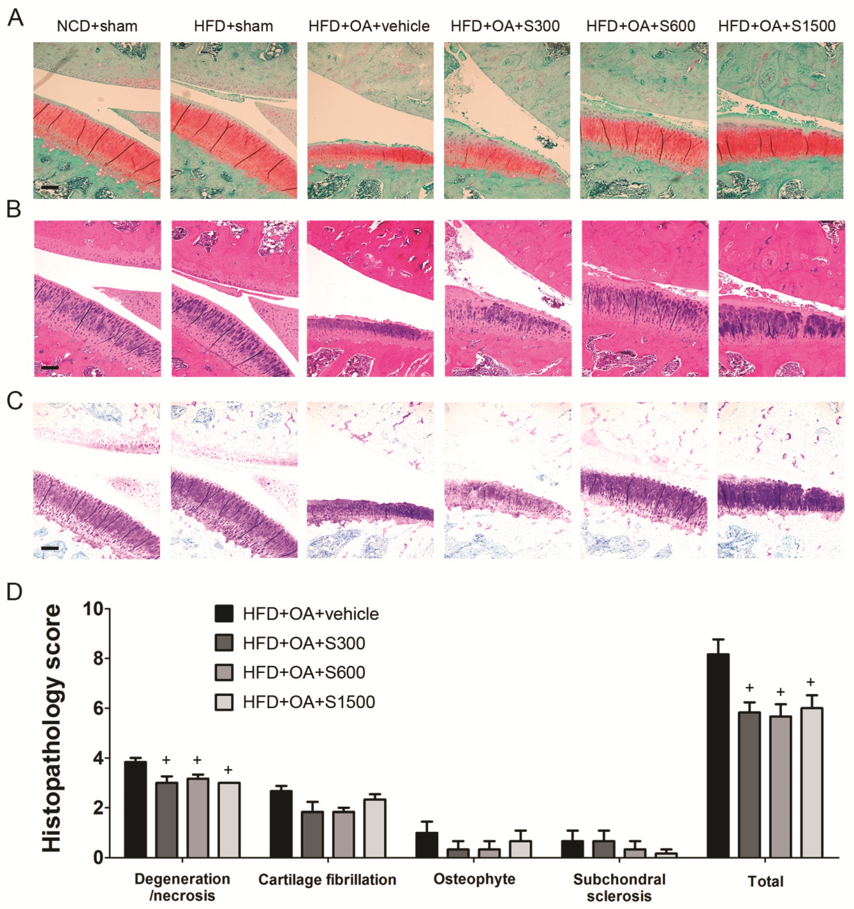 Nutrients 11 01312 g006 Nutrients 11 01312 g006