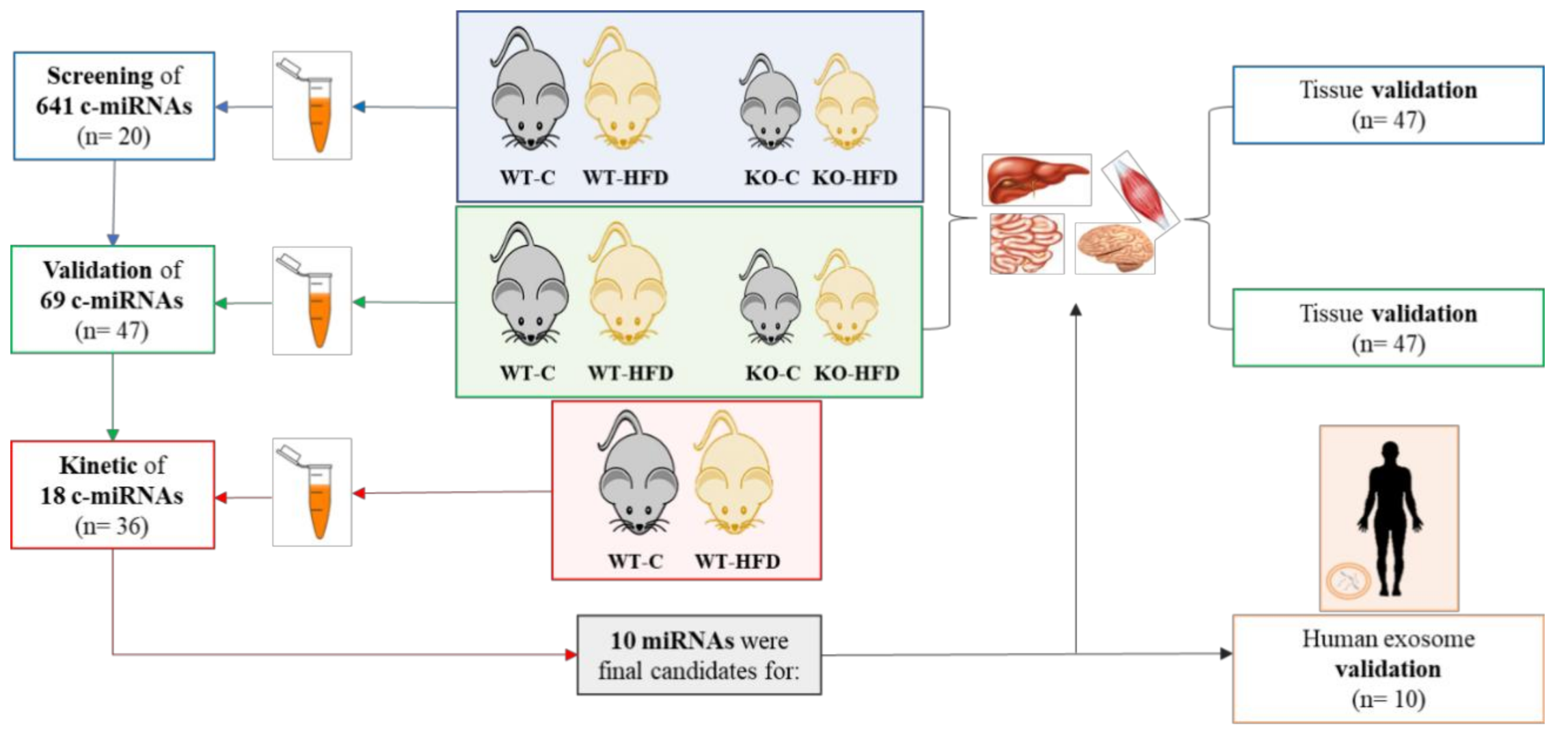 Nutrients 11 01326 g001 Nutrients 11 01326 g001