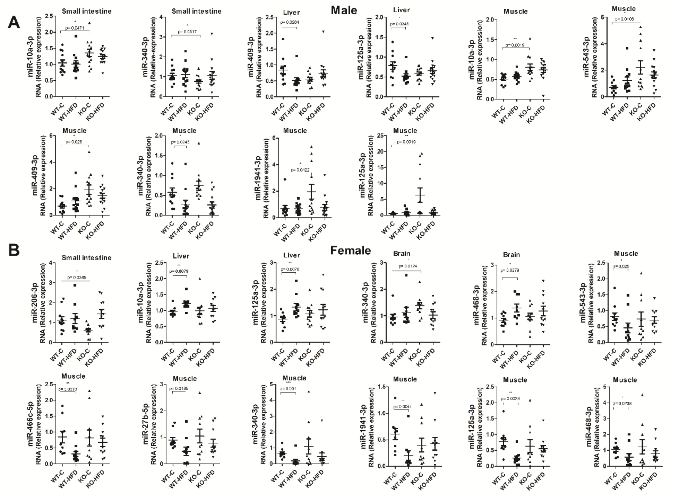 Nutrients 11 01326 g004 Nutrients 11 01326 g004
