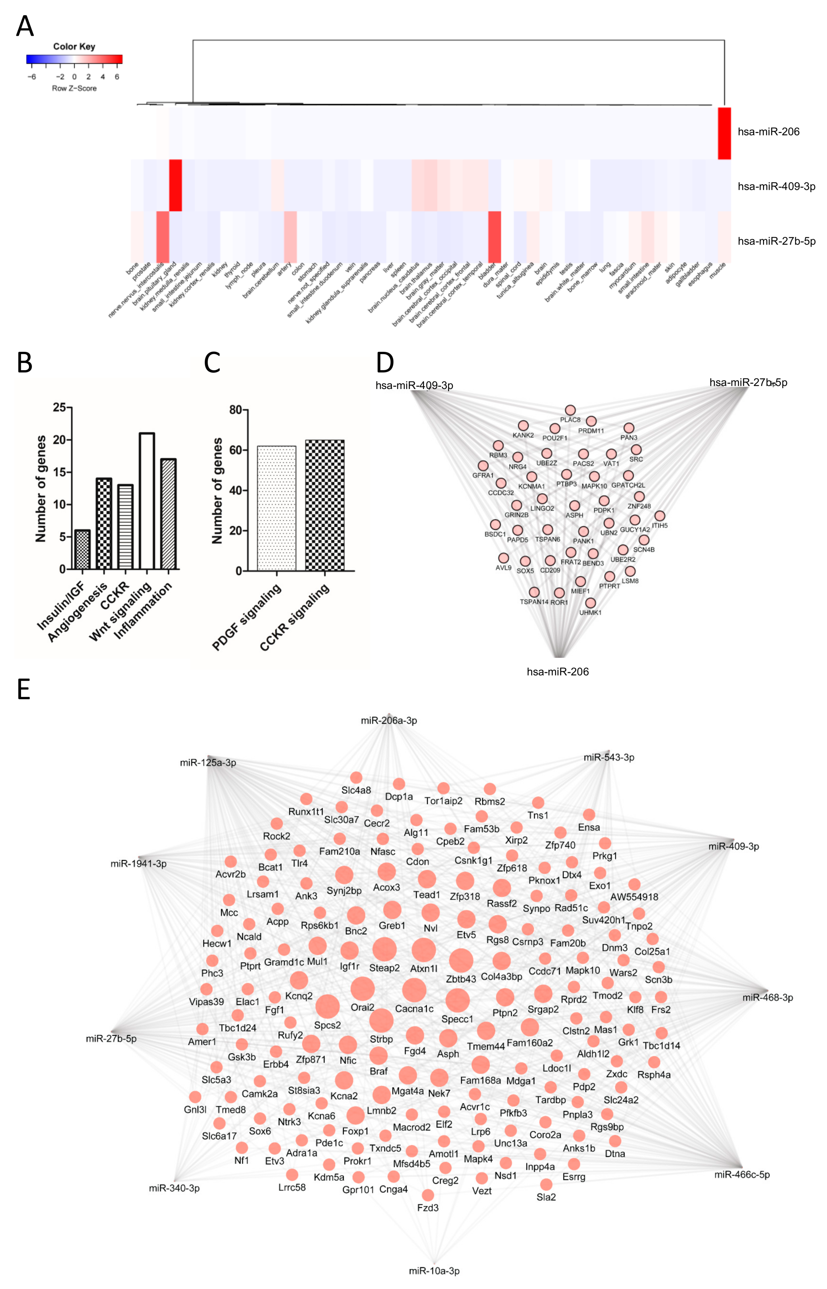 Nutrients 11 01326 g006 Nutrients 11 01326 g006