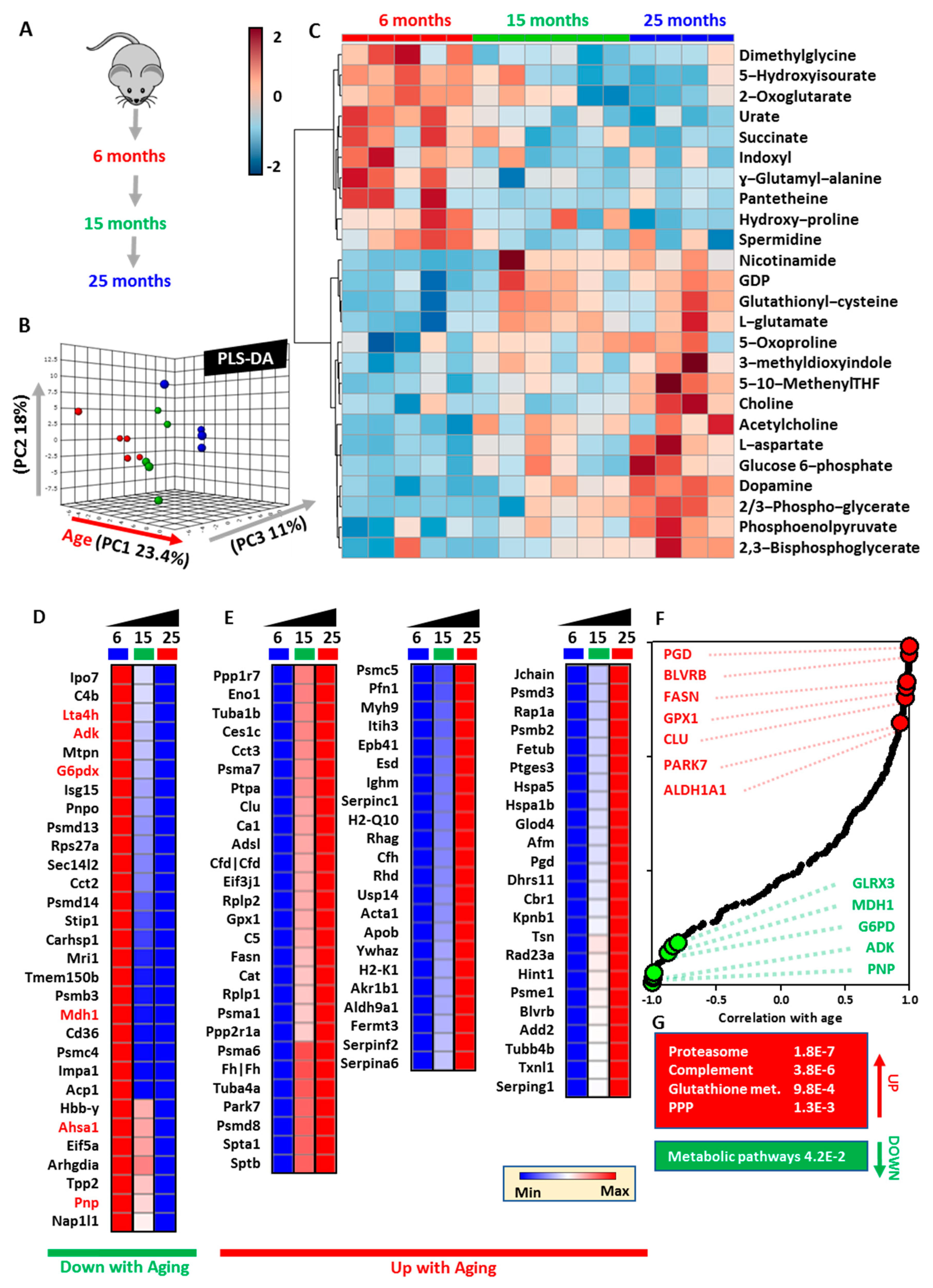 Nutrients 11 01337 g001 Nutrients 11 01337 g001
