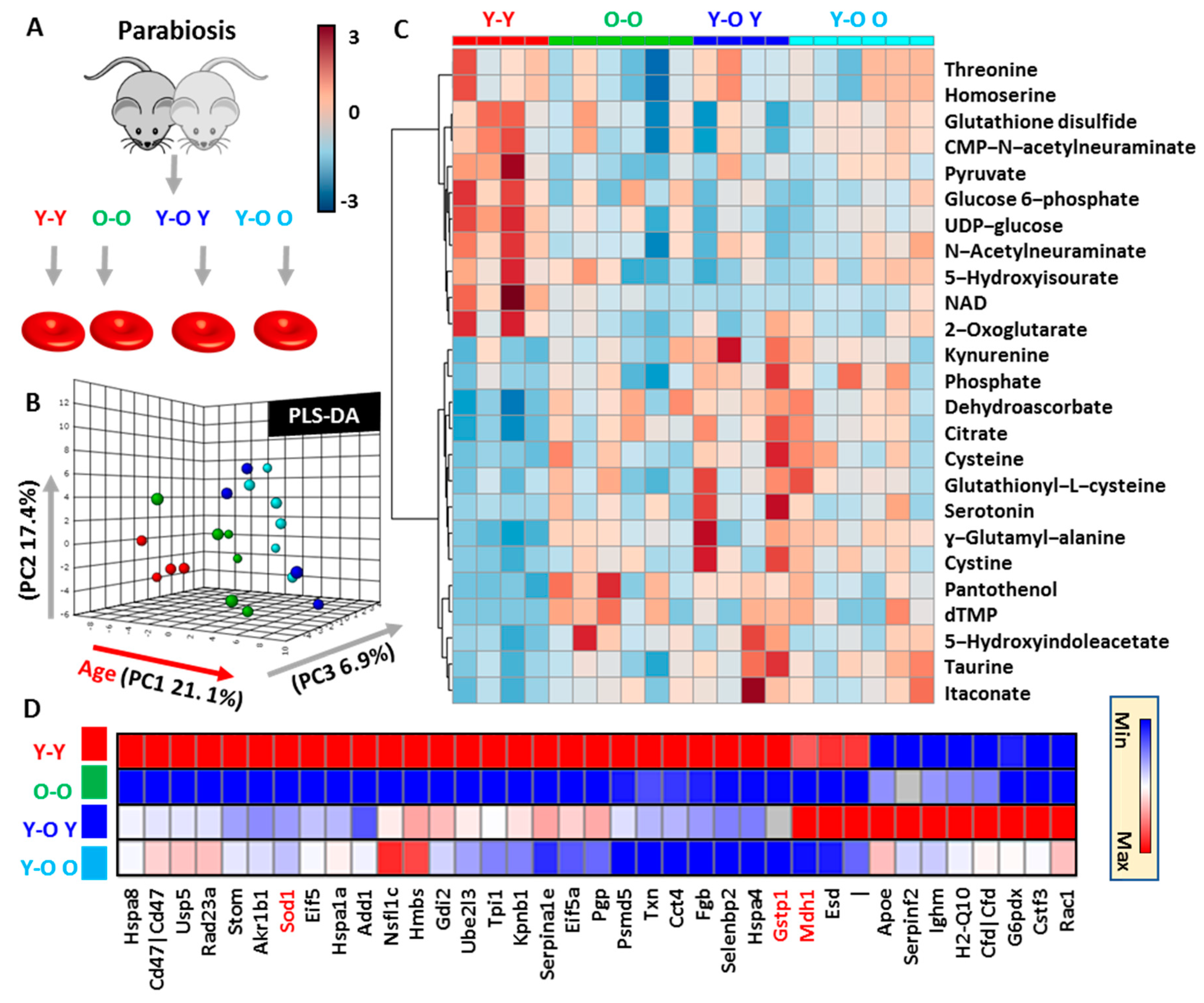 Nutrients 11 01337 g005 Nutrients 11 01337 g005