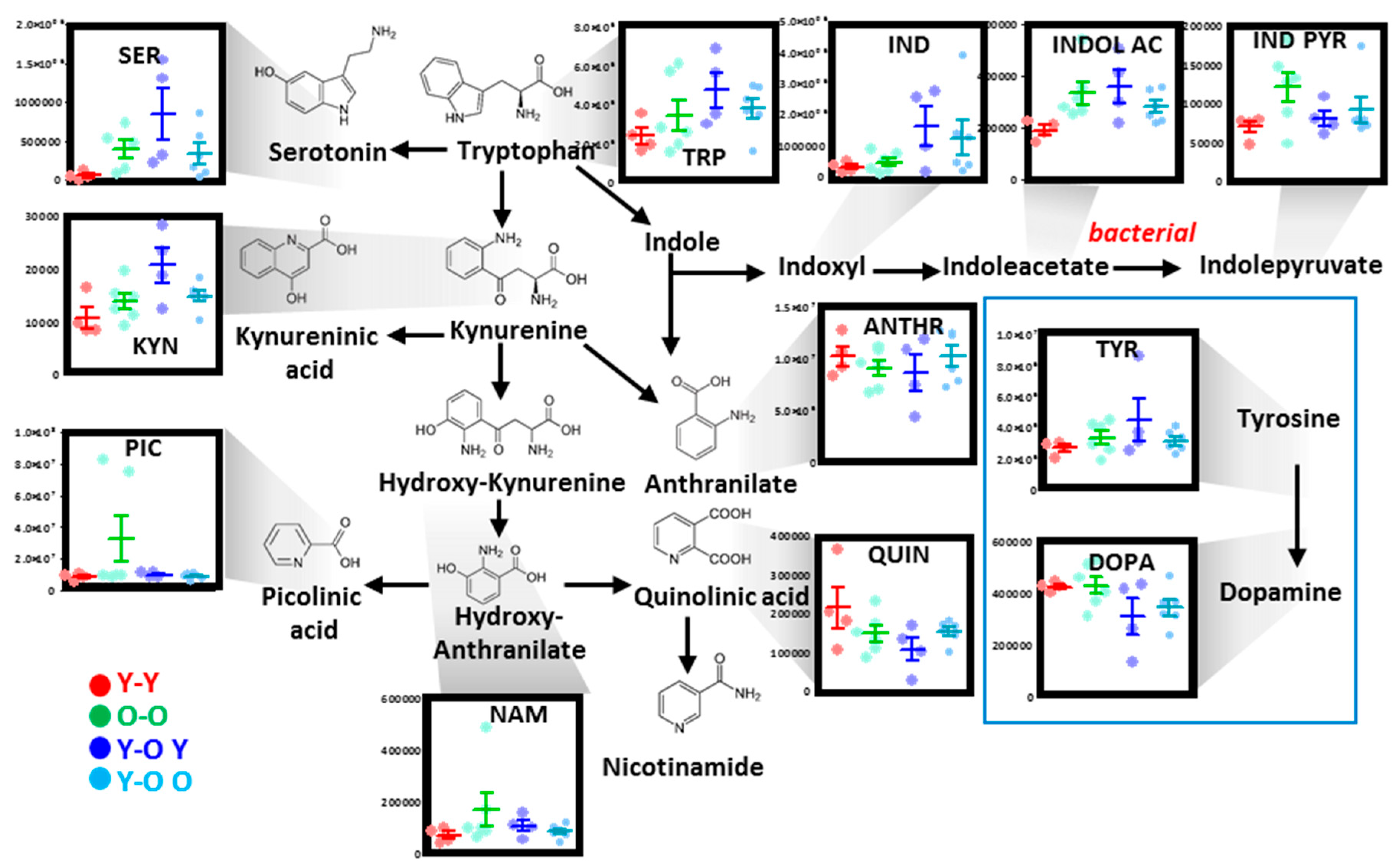 Nutrients 11 01337 g008 Nutrients 11 01337 g008