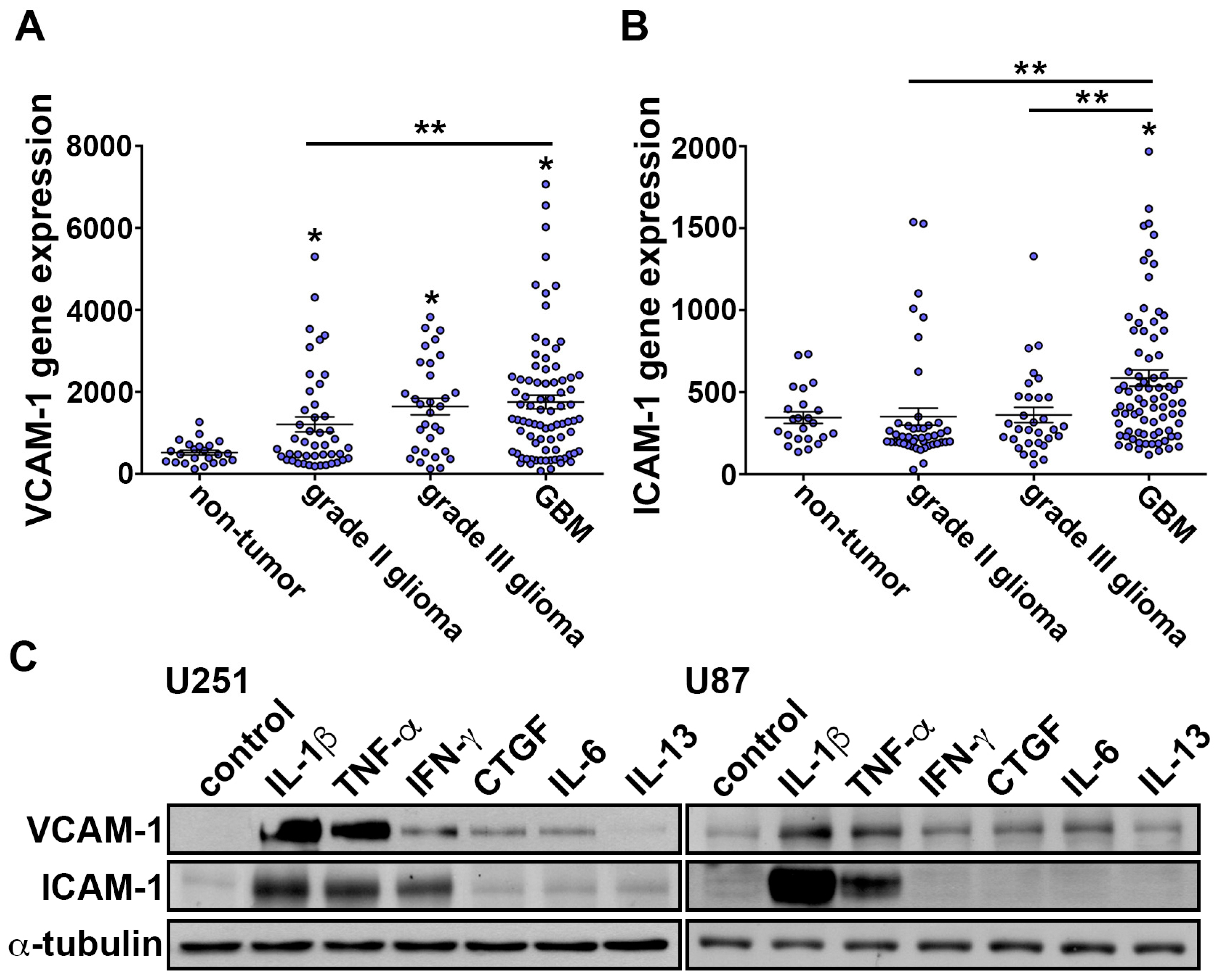 Nutrients 11 01343 g001 Nutrients 11 01343 g001