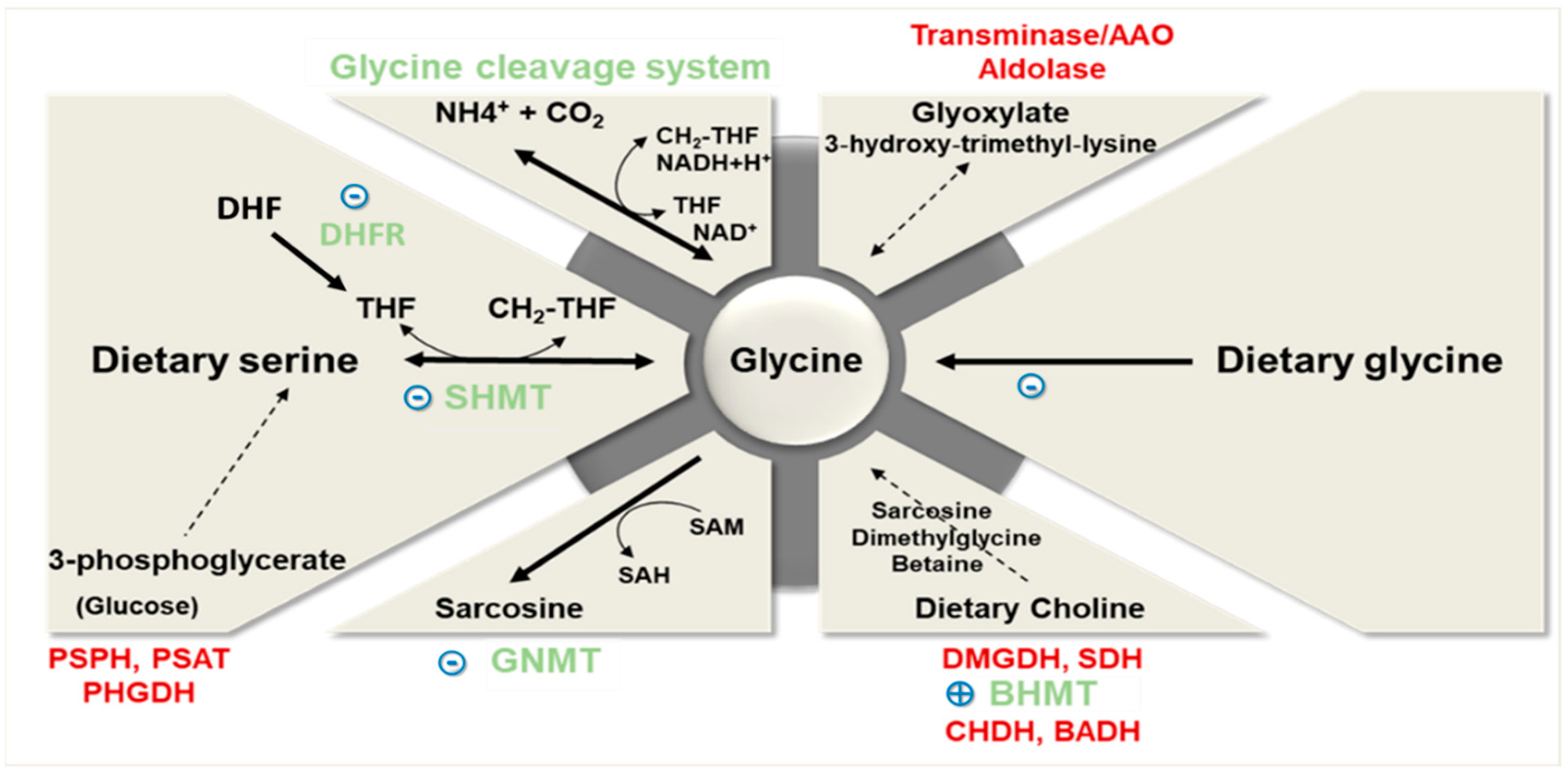 Nutrients 11 01356 g001
