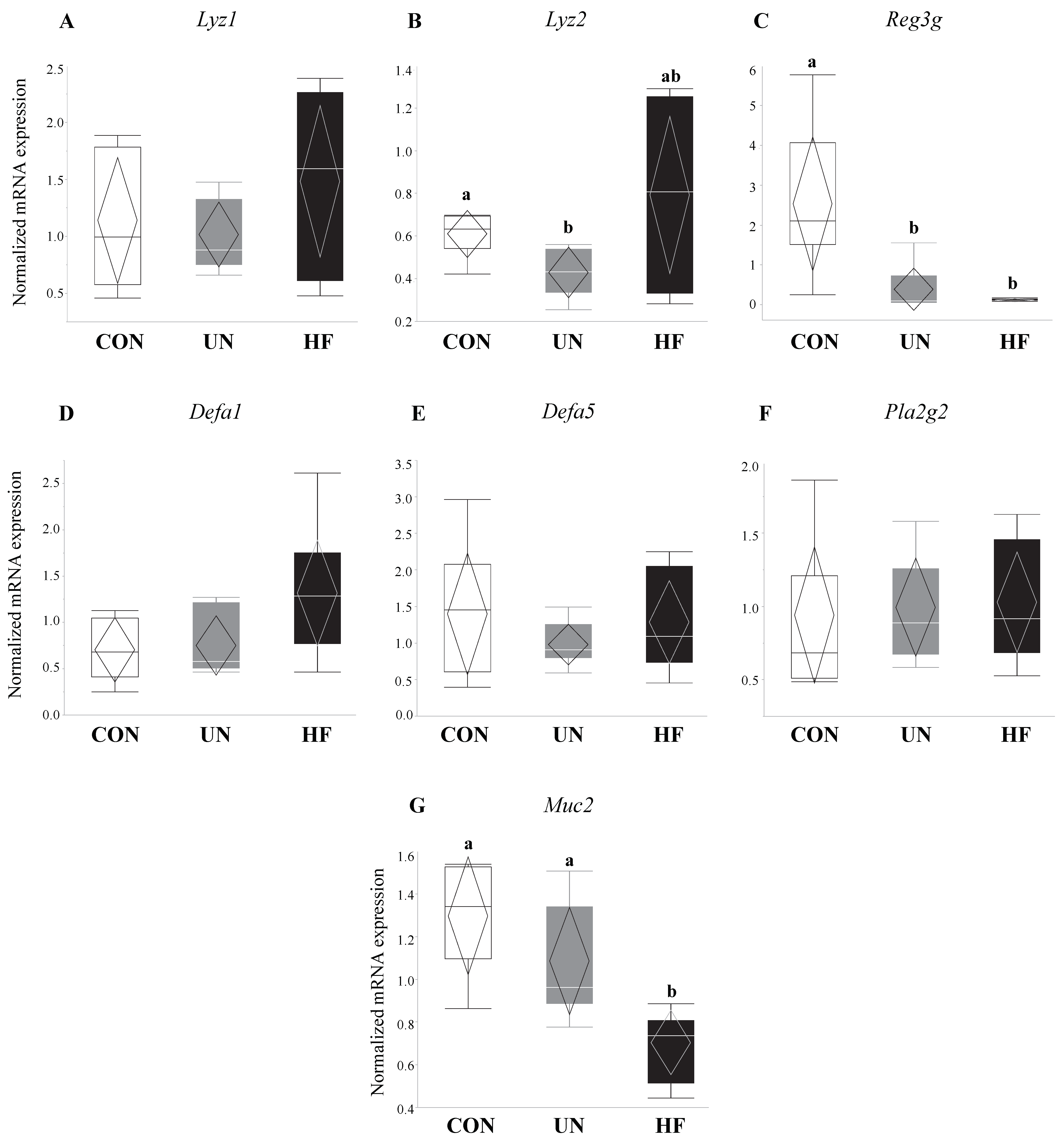 Nutrients 11 01375 g001 Nutrients 11 01375 g001