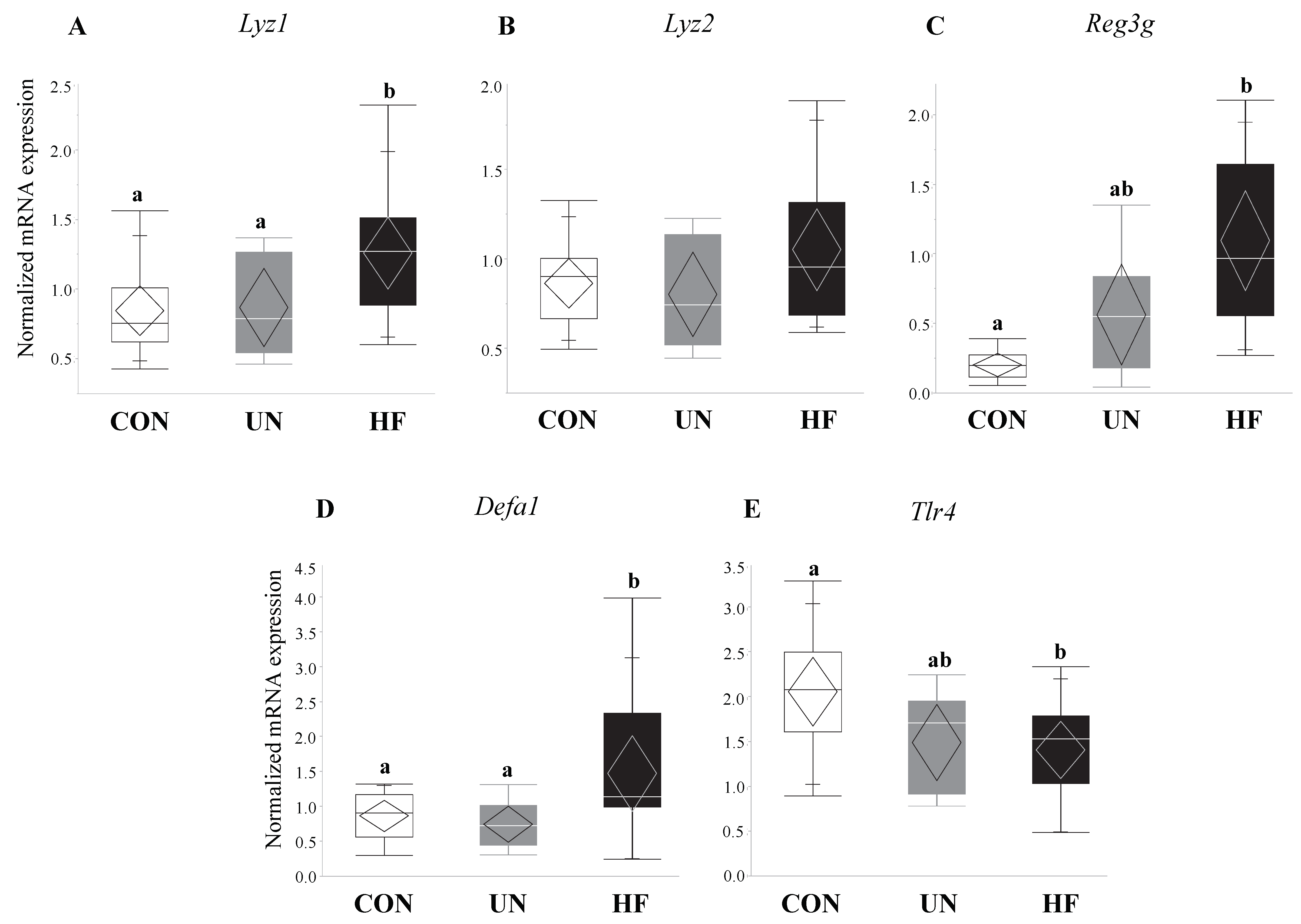 Nutrients 11 01375 g006 Nutrients 11 01375 g006