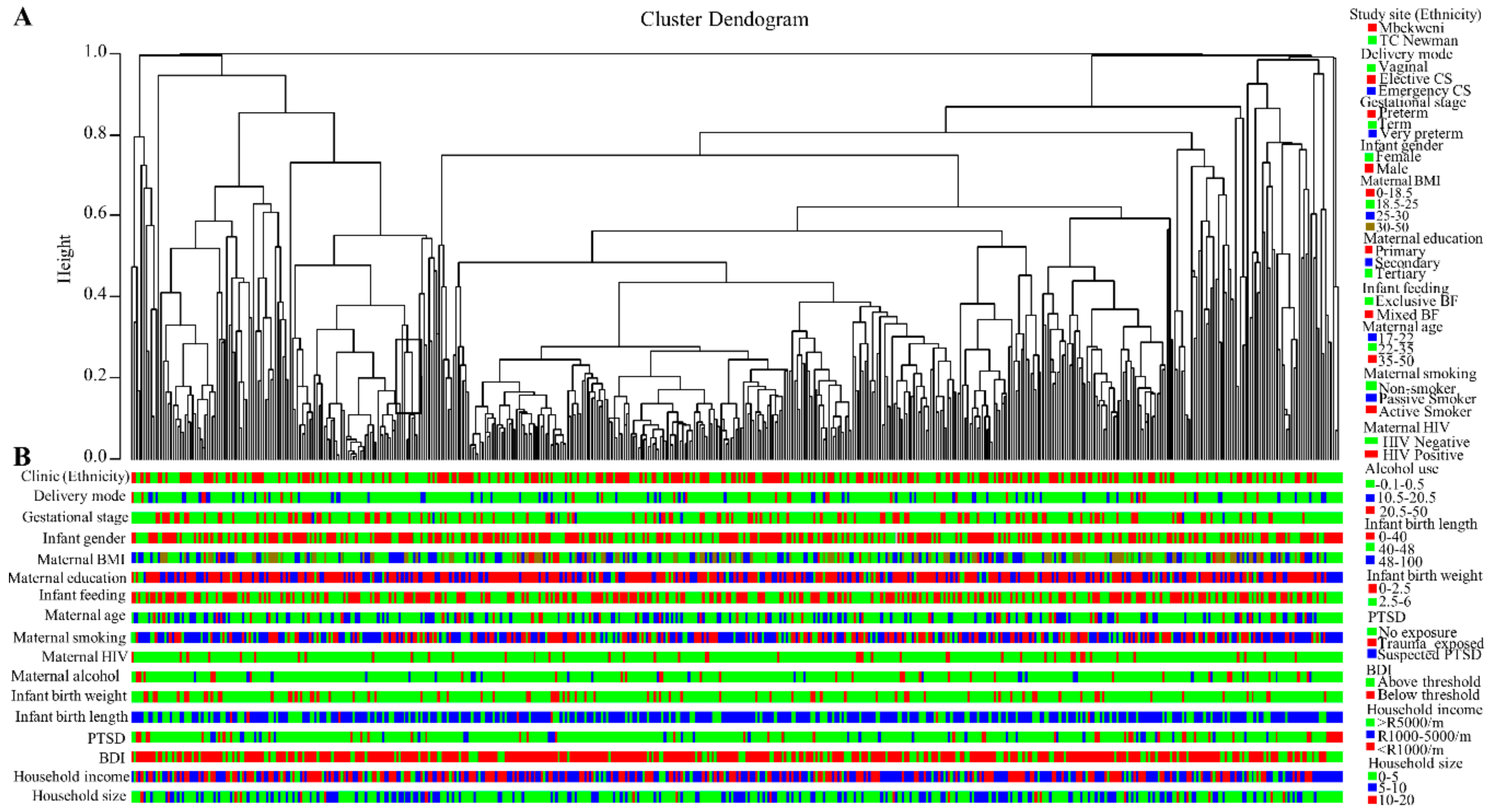 Nutrients 11 01390 g005 Nutrients 11 01390 g005