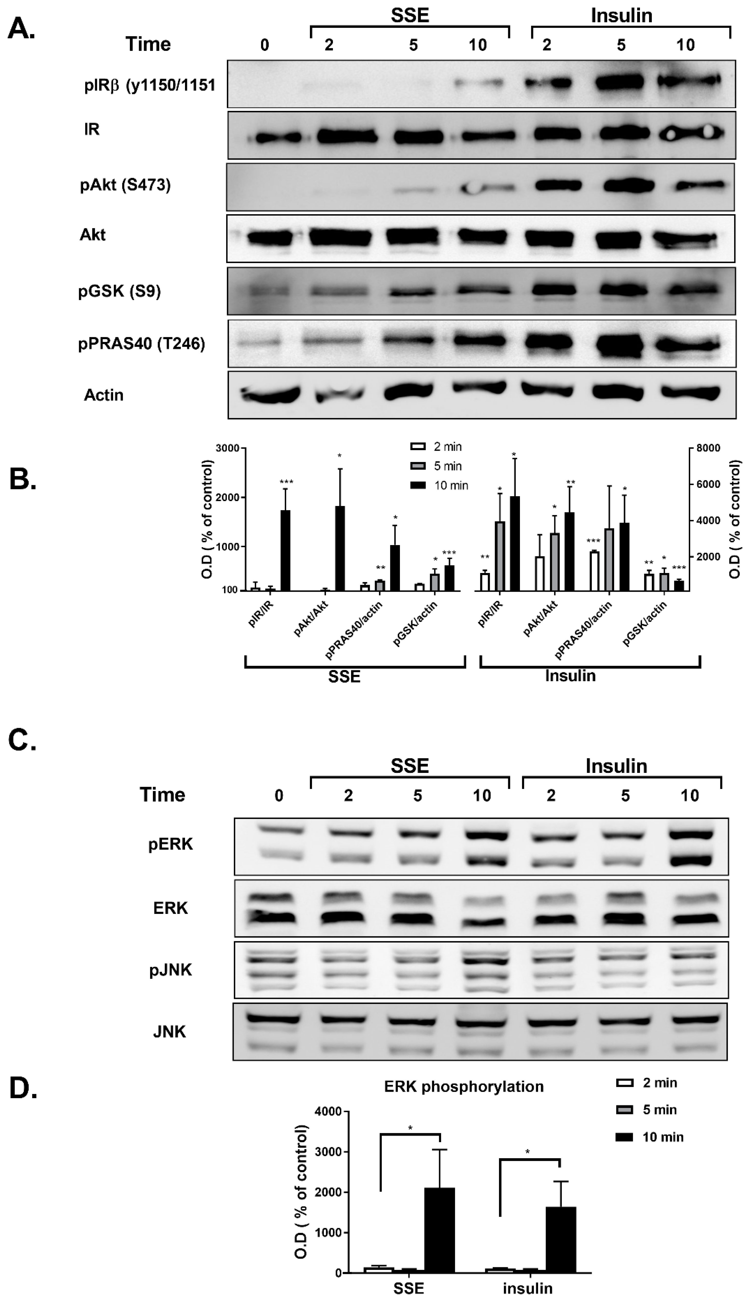 Nutrients 11 01396 g003 Nutrients 11 01396 g003