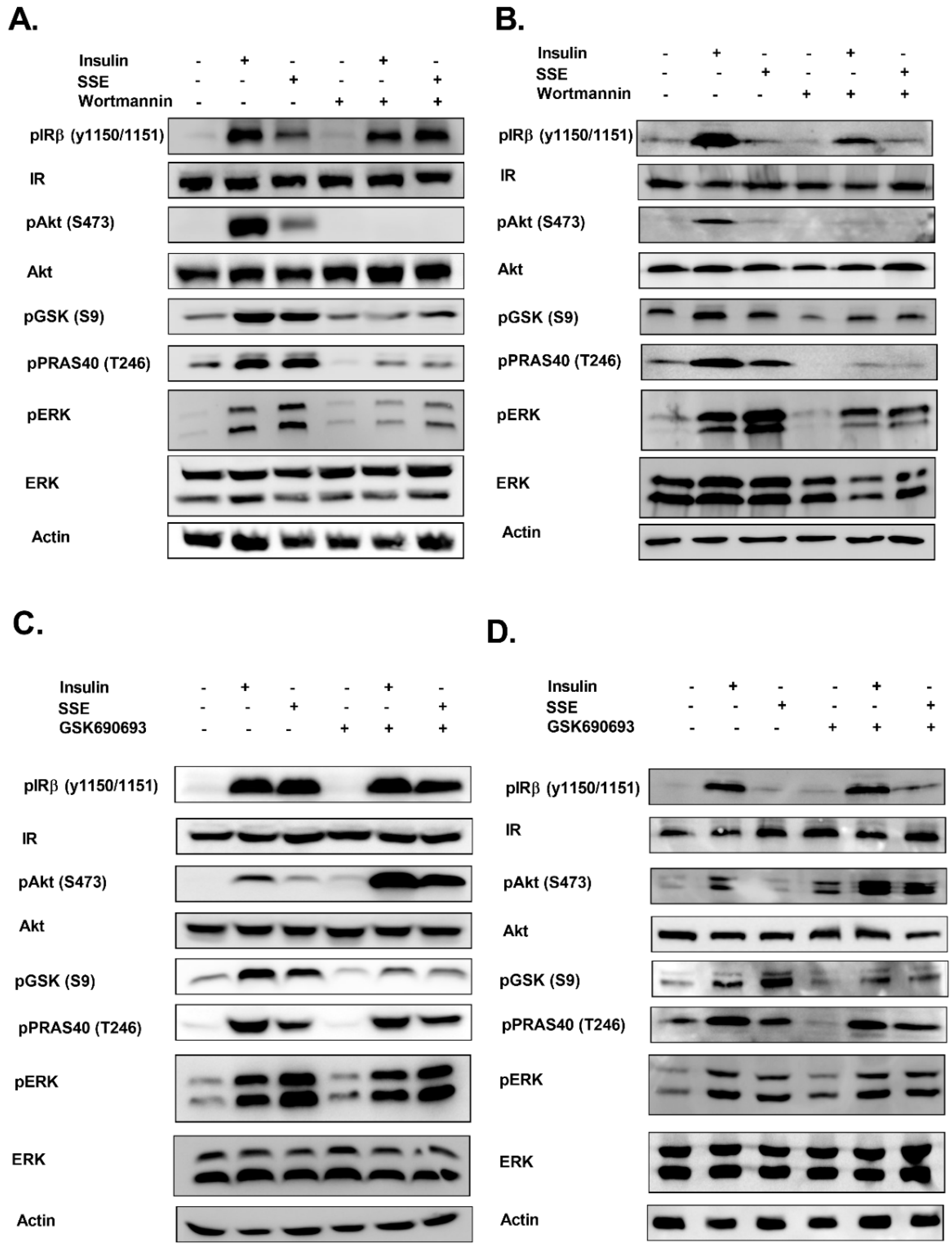 Nutrients 11 01396 g006 Nutrients 11 01396 g006